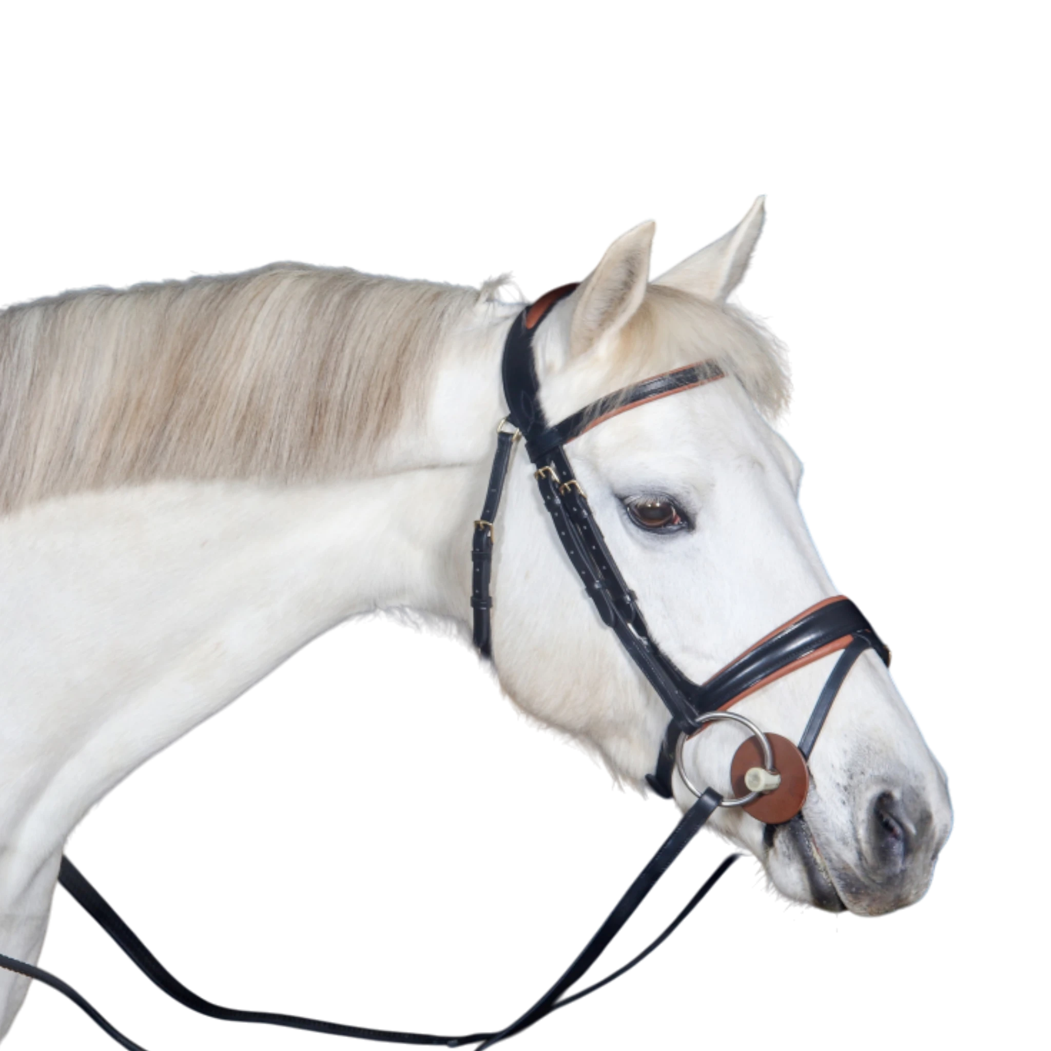 TdeT - Matisse anatomical bridle with reins black/tobacco