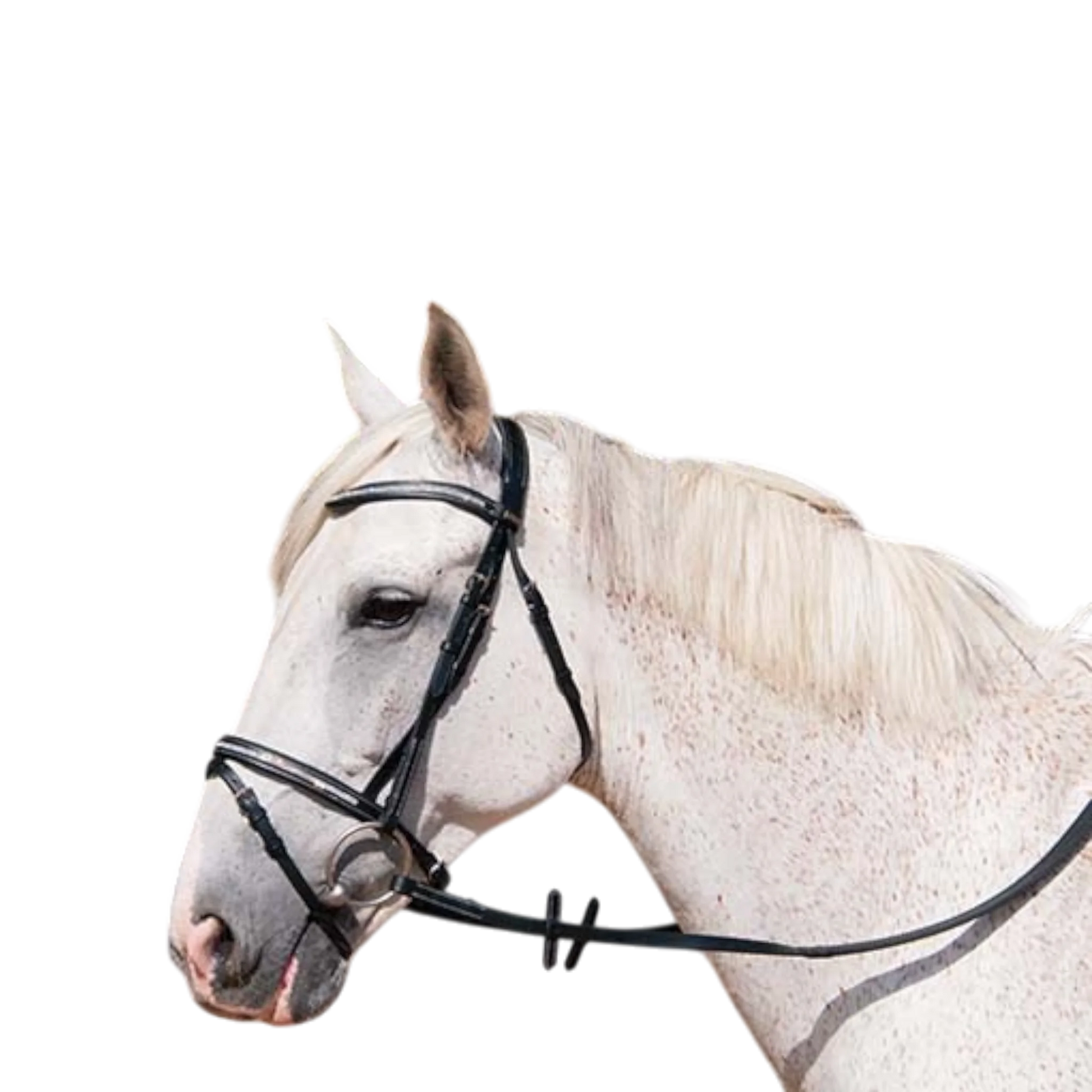 TdeT - Pissaro crystal bridle with reins black