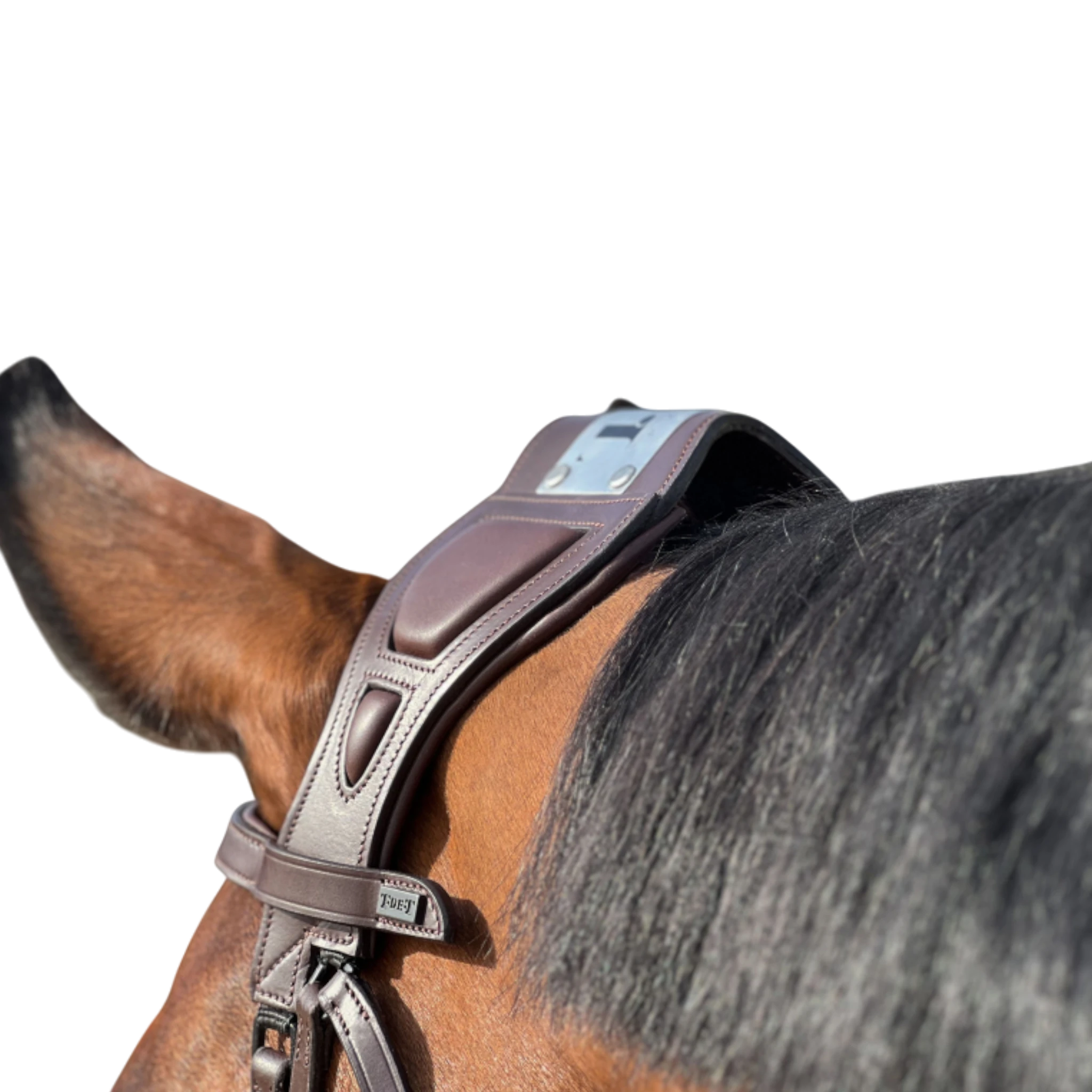 TdeT - Chagall bridge bridle dark havana