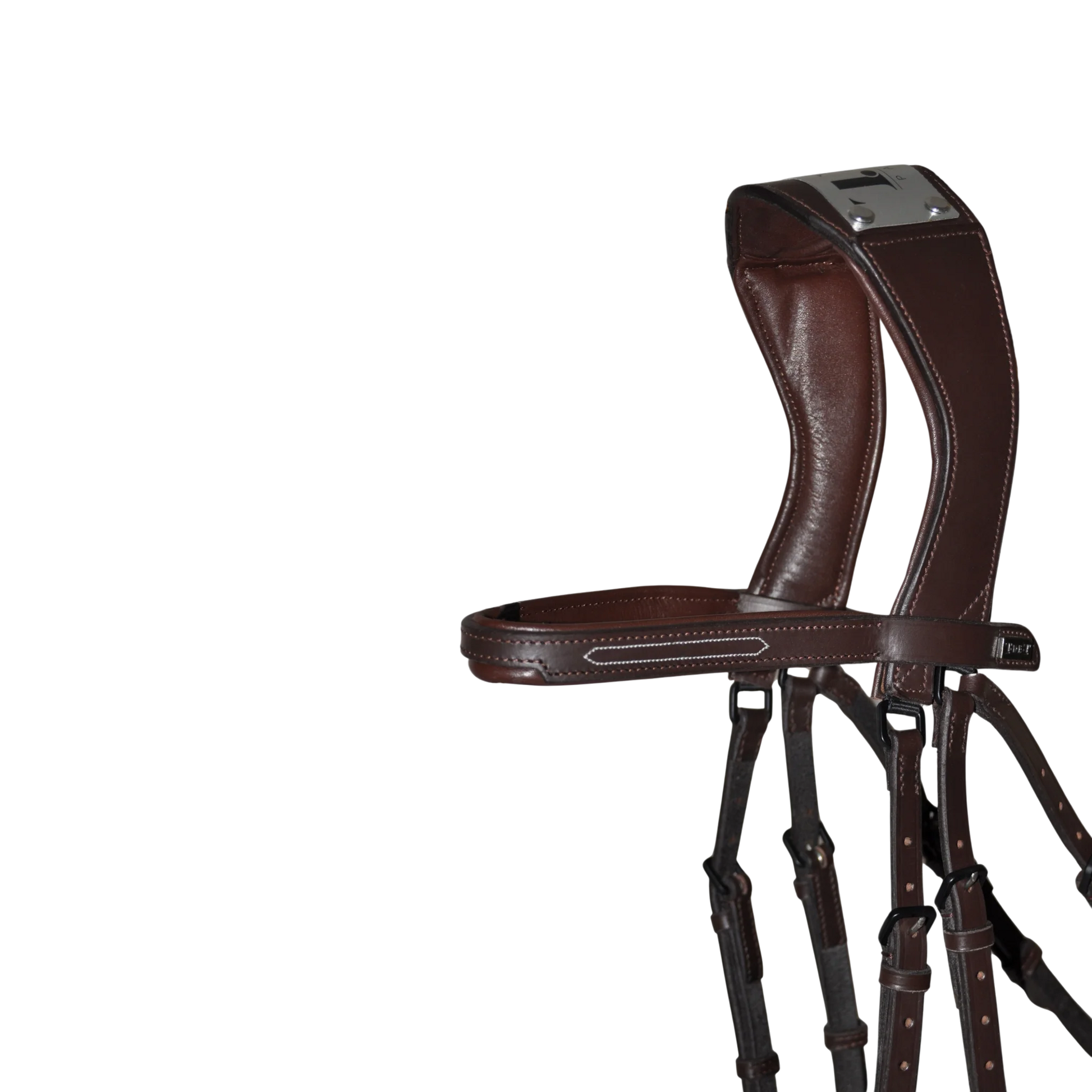 TdeT - Manet bridge bridle dark havana