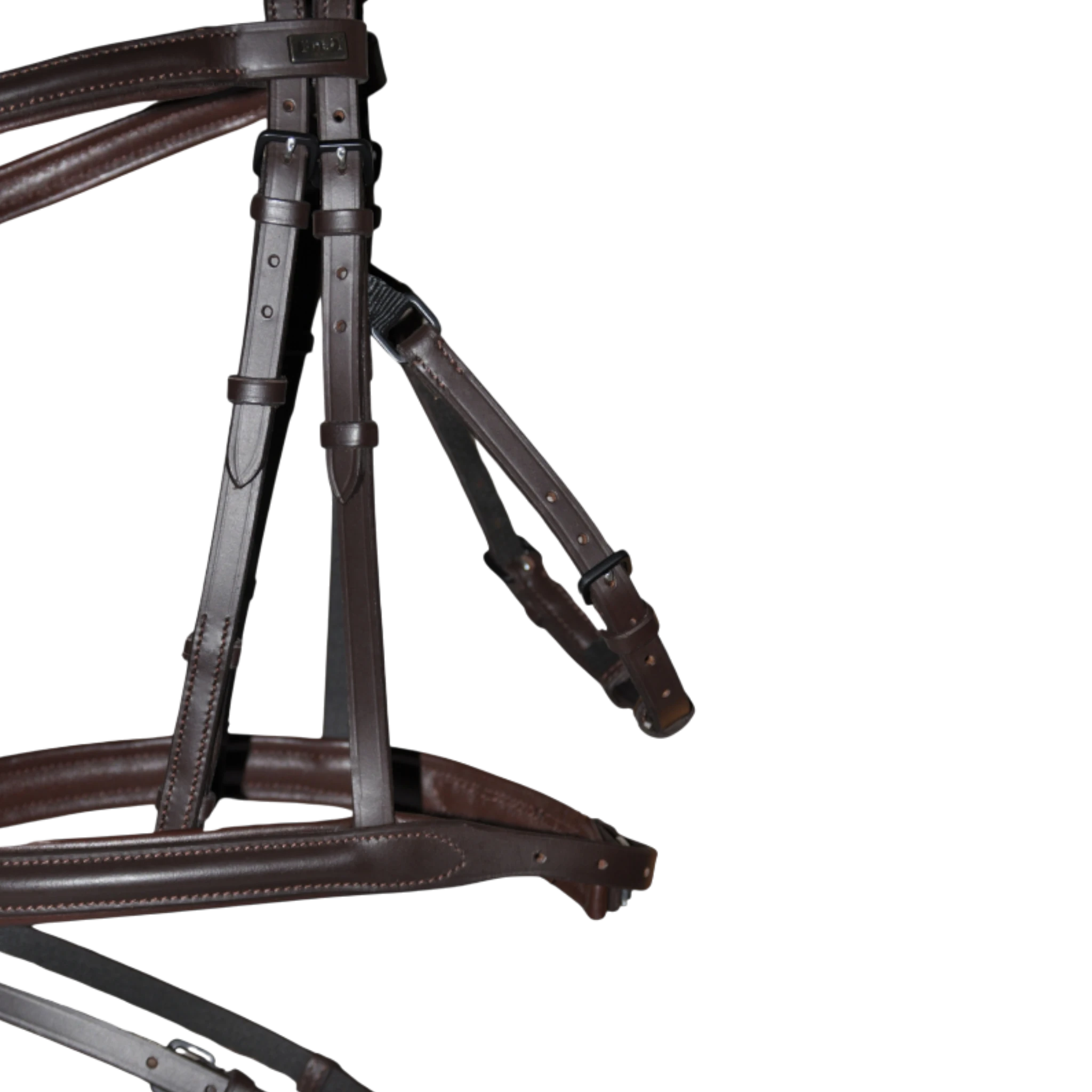 TdeT - Vargas bridge bridle dark havana