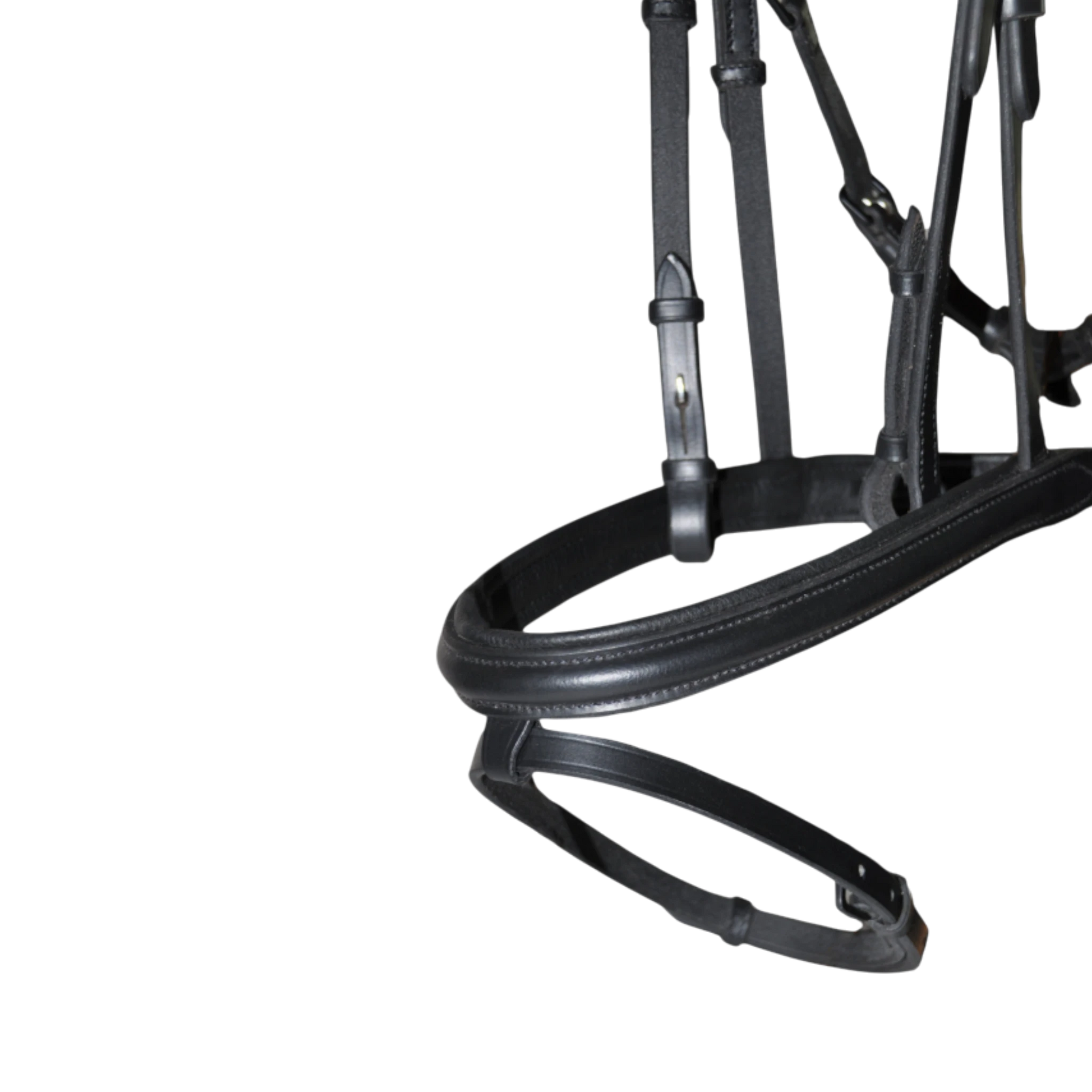 TdeT - Vargas bridge bridle black