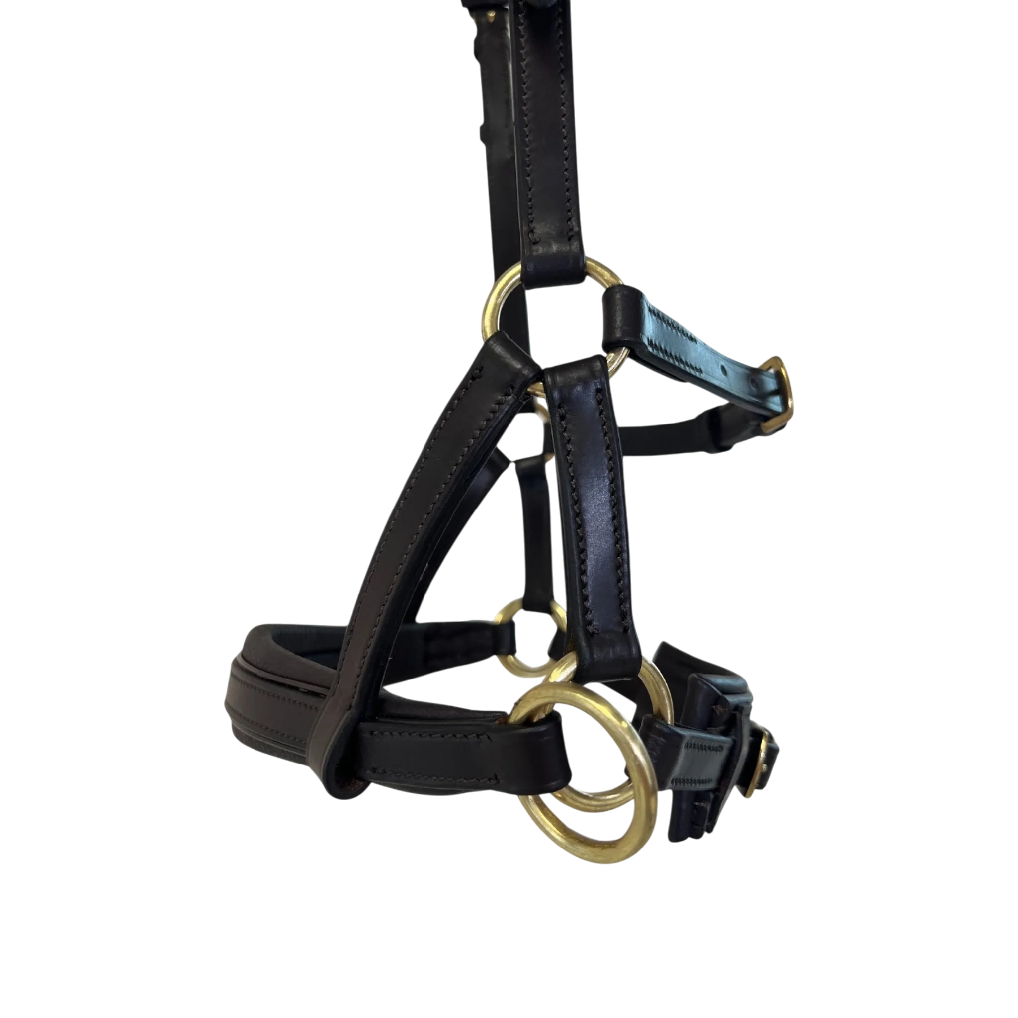 TdeT - Bridon Sidepull cuir No More havane foncé