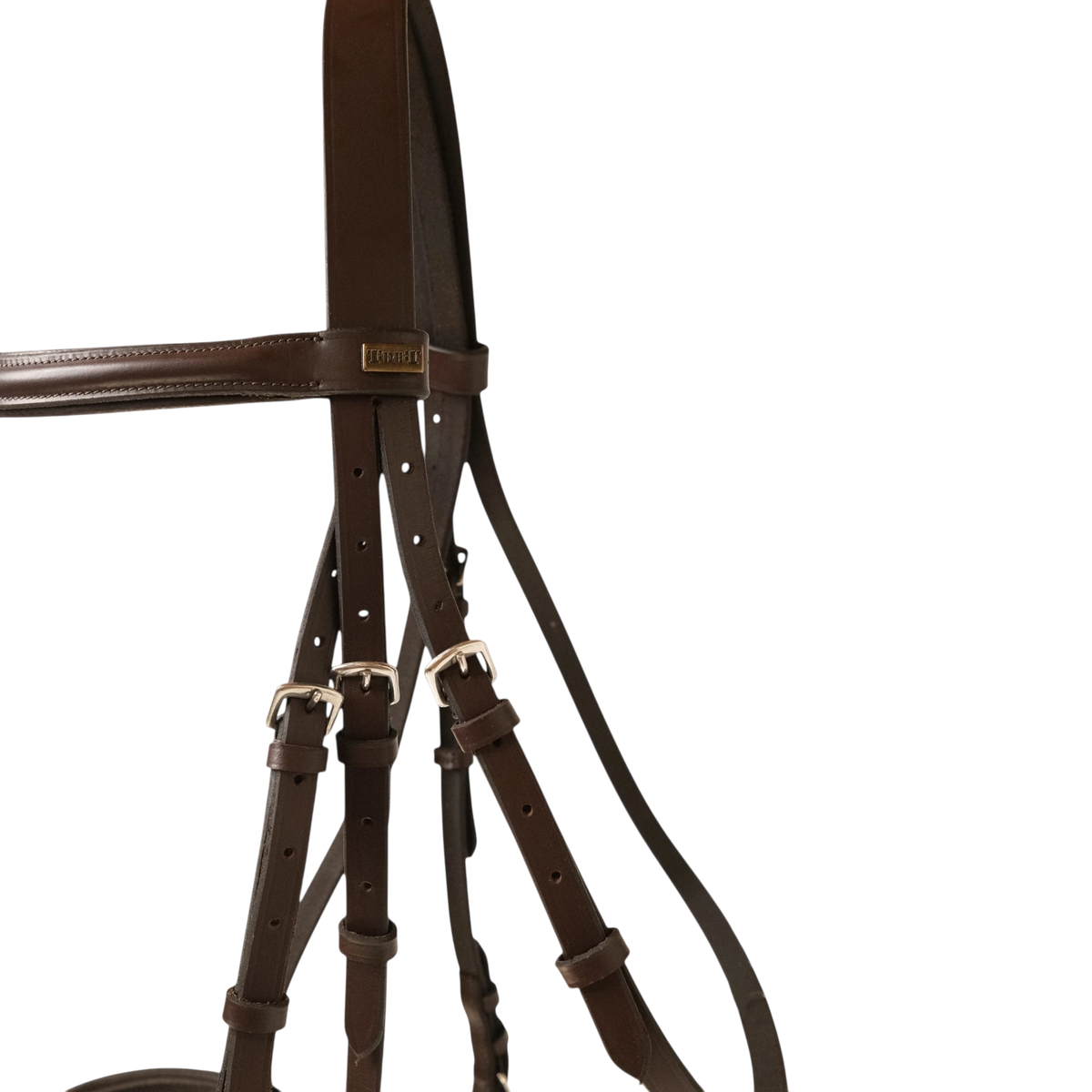 TdeT - Bridon classique Sisley combiné avec rênes havane foncé