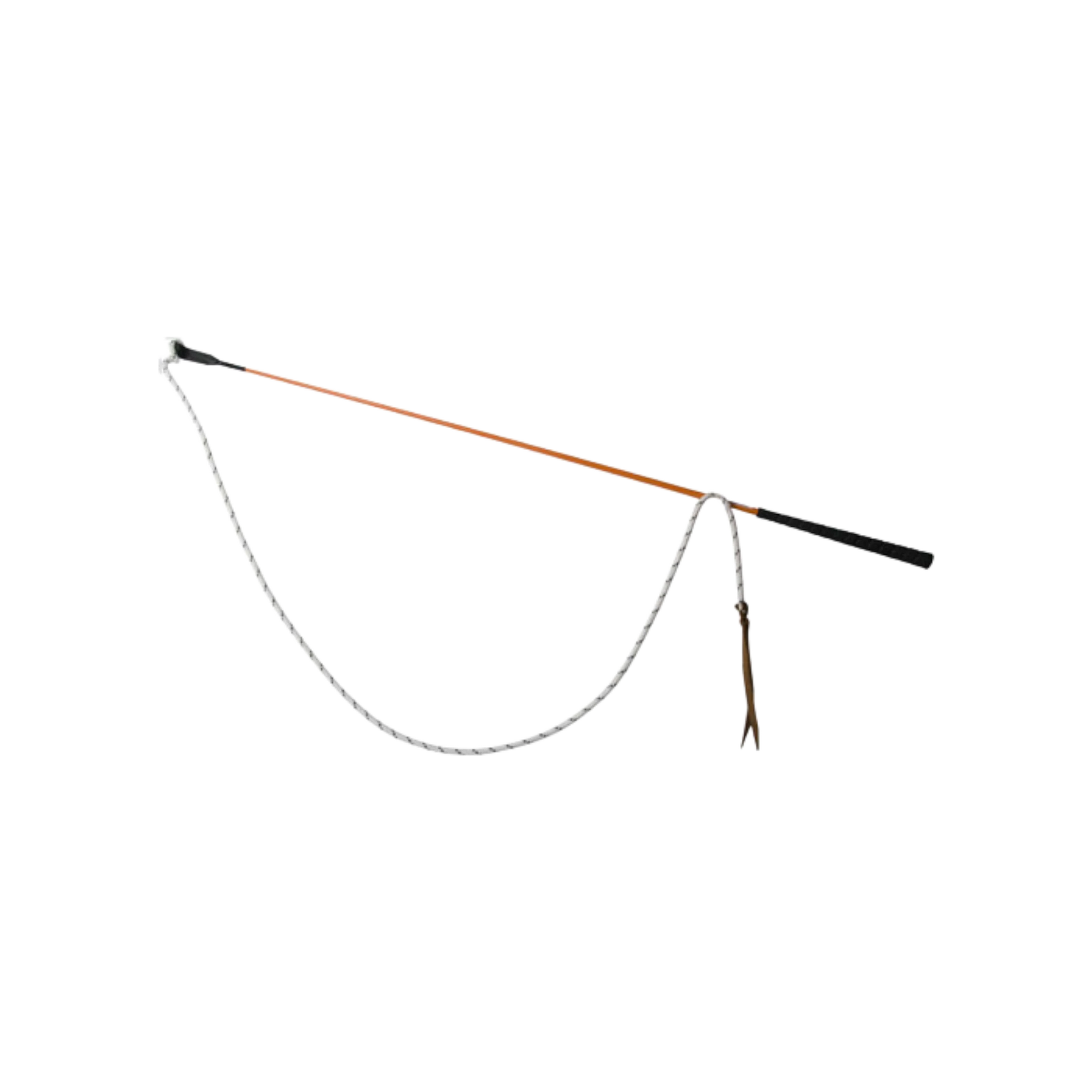 TdeT - Carrot stick orange