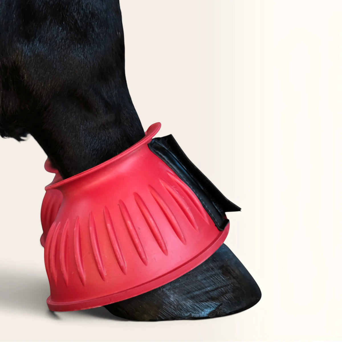 TdeT - cloches caoutchouc velcro rouge