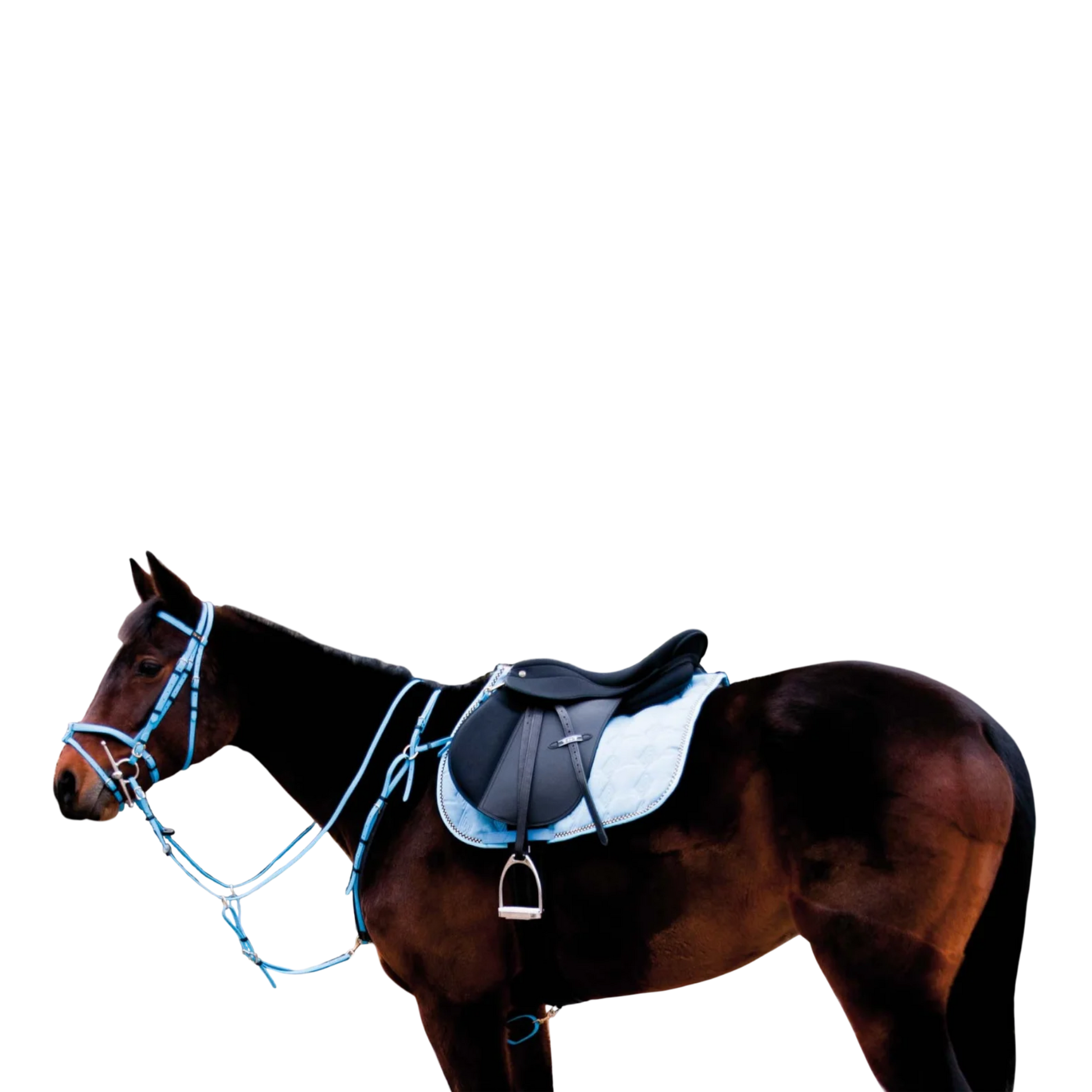 TdeT - Biotack® breastplate sky blue