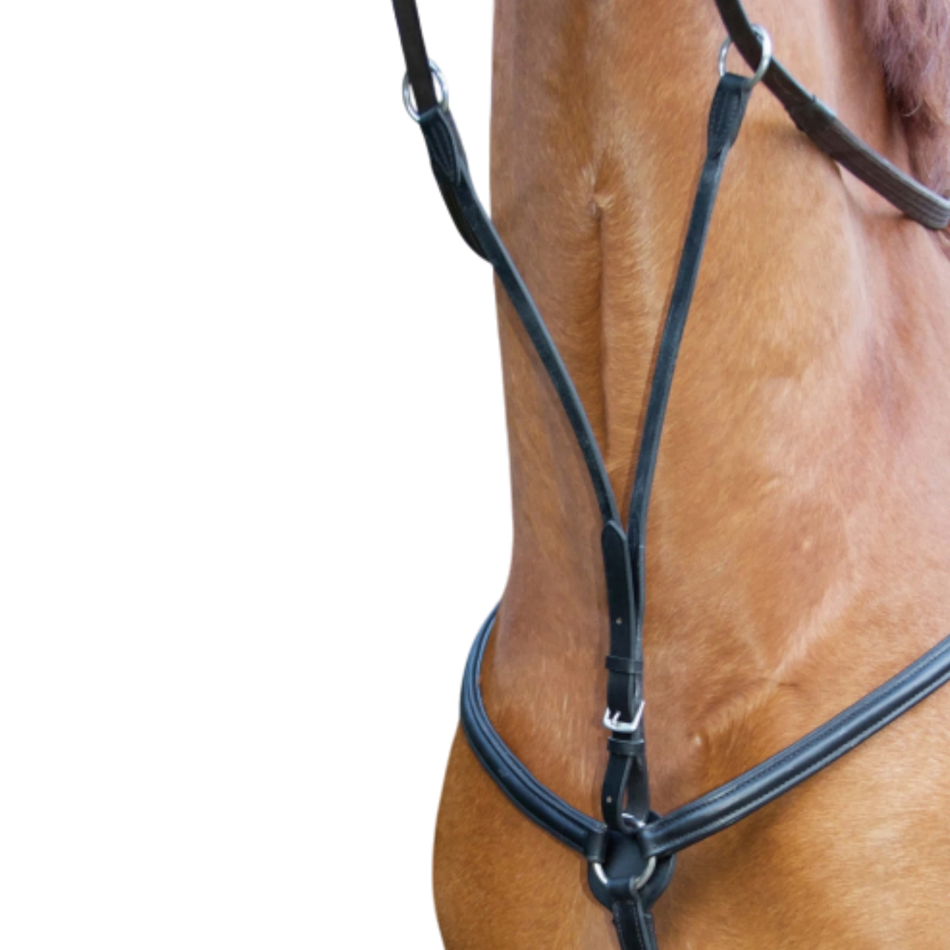 TdeT - Padded breastplate black