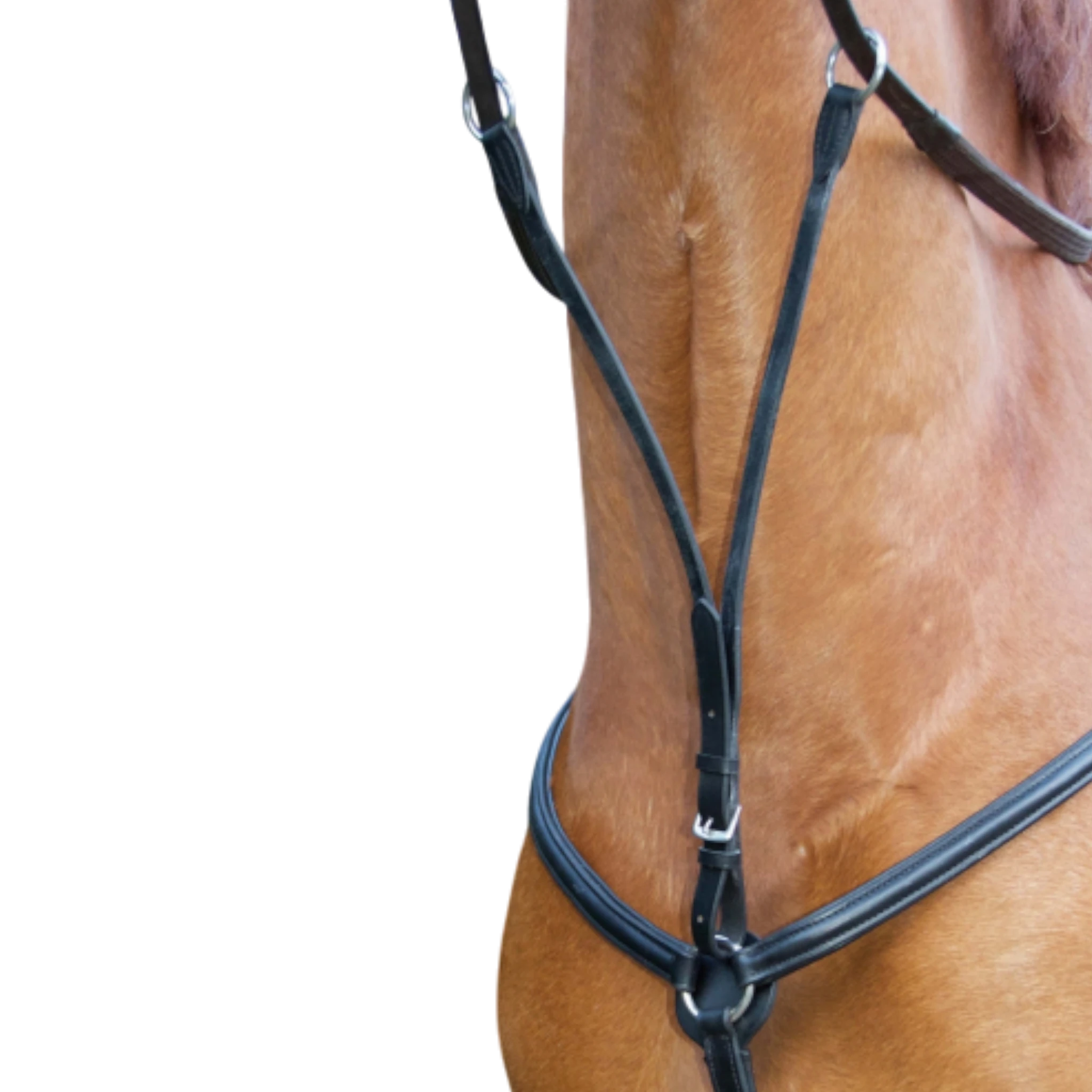 TdeT - Padded breastplate black