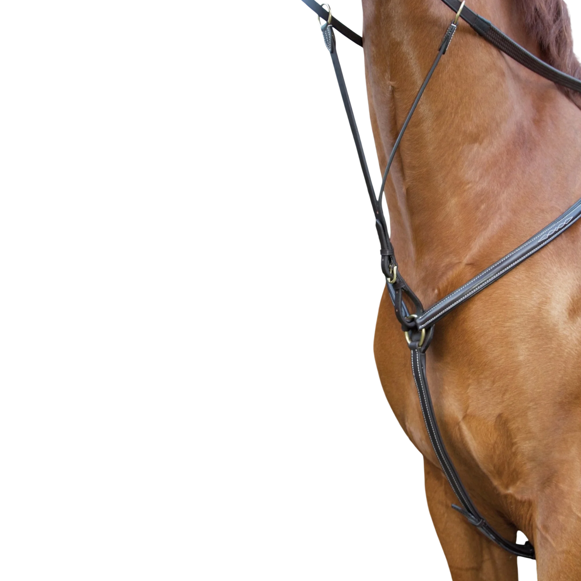 TdeT - Collier de chasse doublé surpiqué havane foncé
