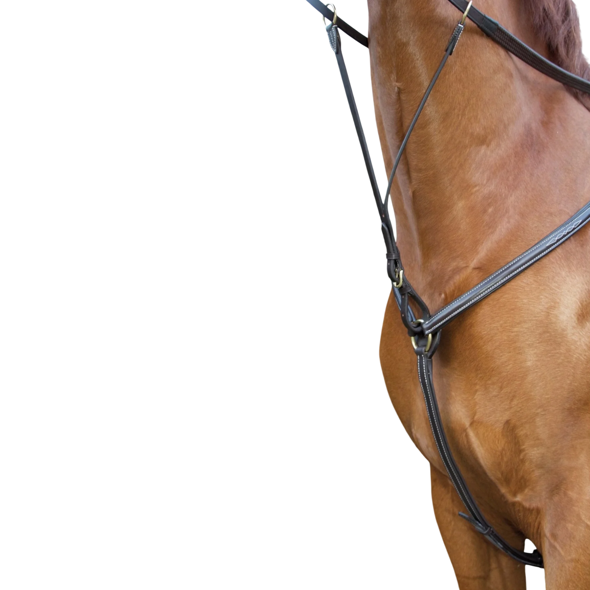 TdeT - Collier de chasse doublé surpiqué havane foncé