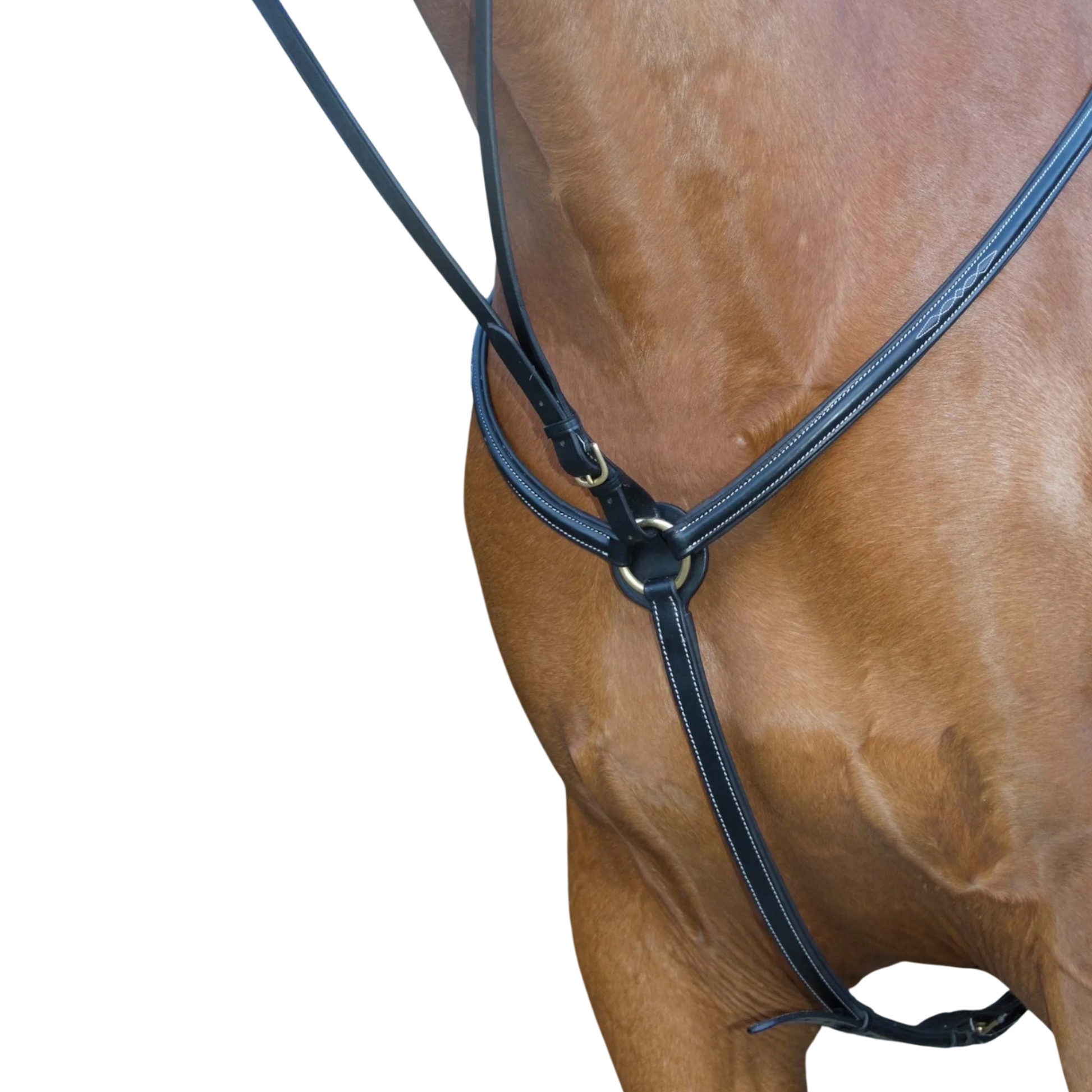 TdeT - Collier de chasse doublé surpiqué noir