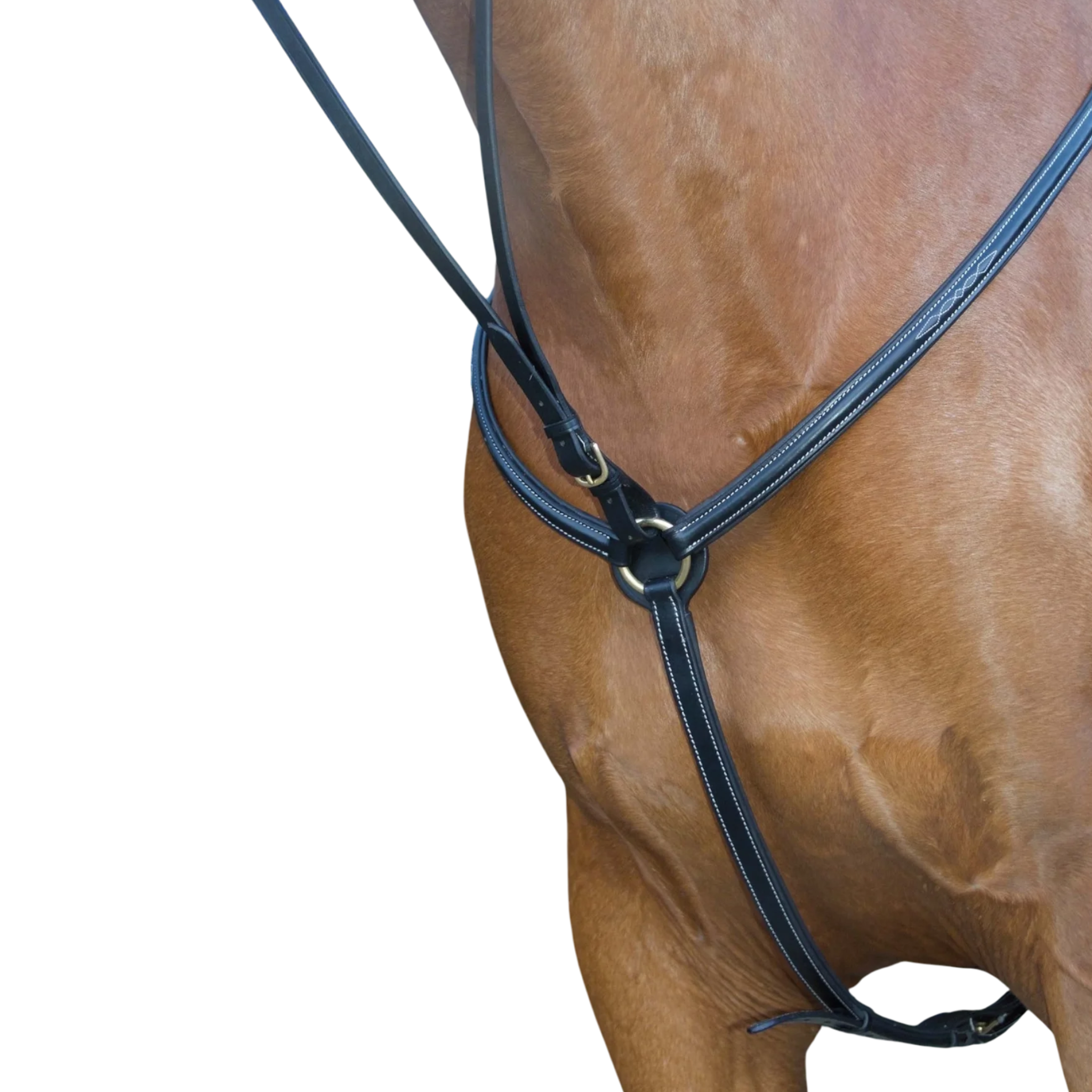 TdeT - Collier de chasse doublé surpiqué noir