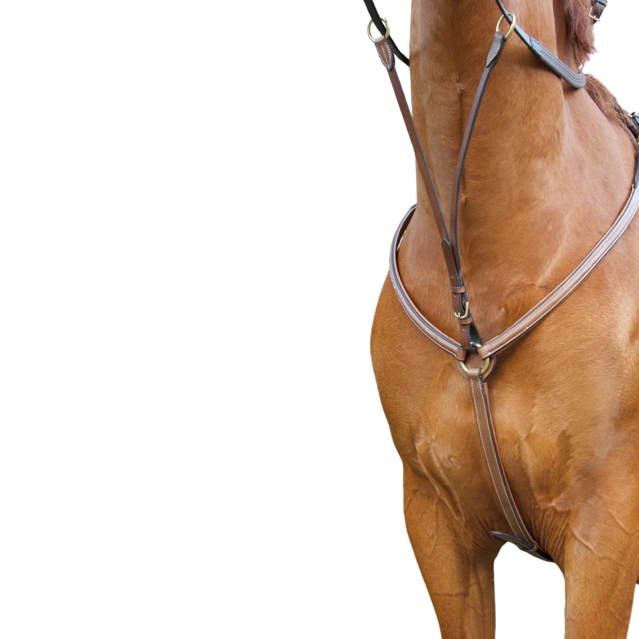 TdeT - Topstitched padded breastplate tobacco