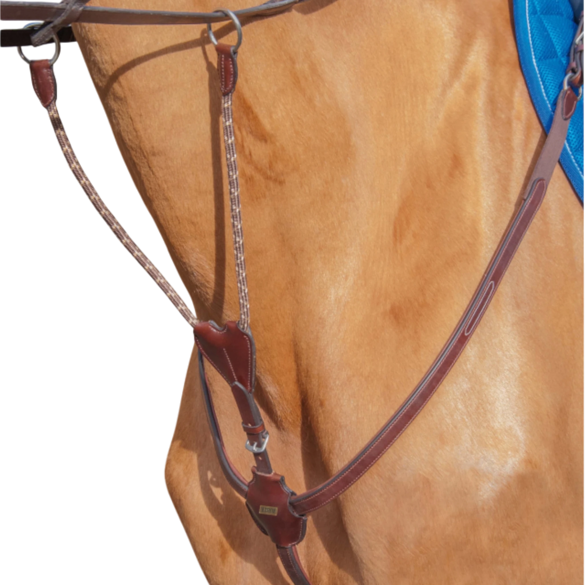 TdeT - Luxe breastplate dark havana