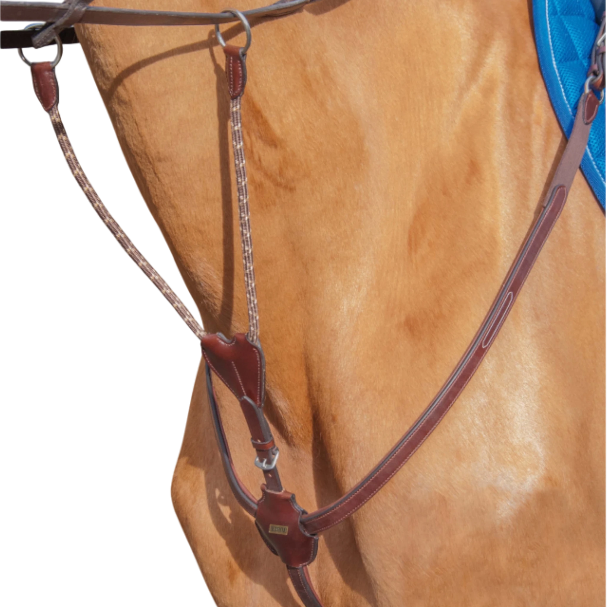 TdeT - Luxe breastplate dark havana