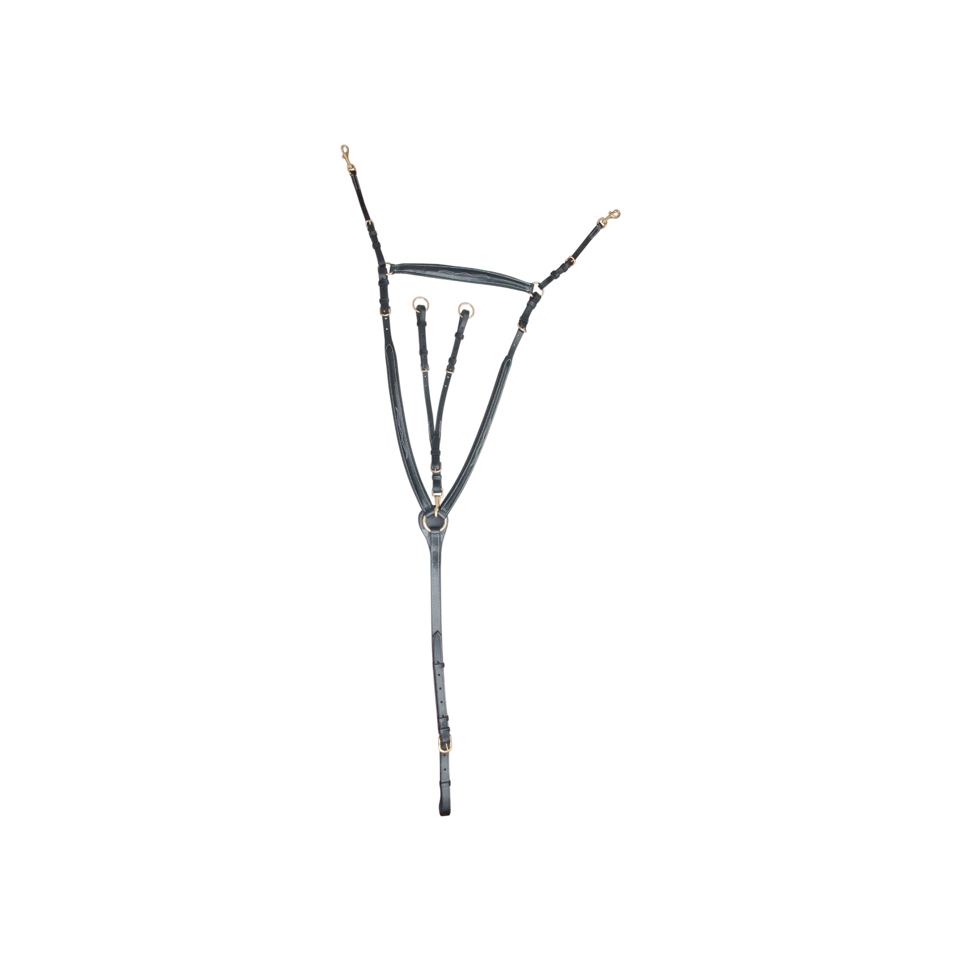 TdeT - Collier de chasse à pont noir