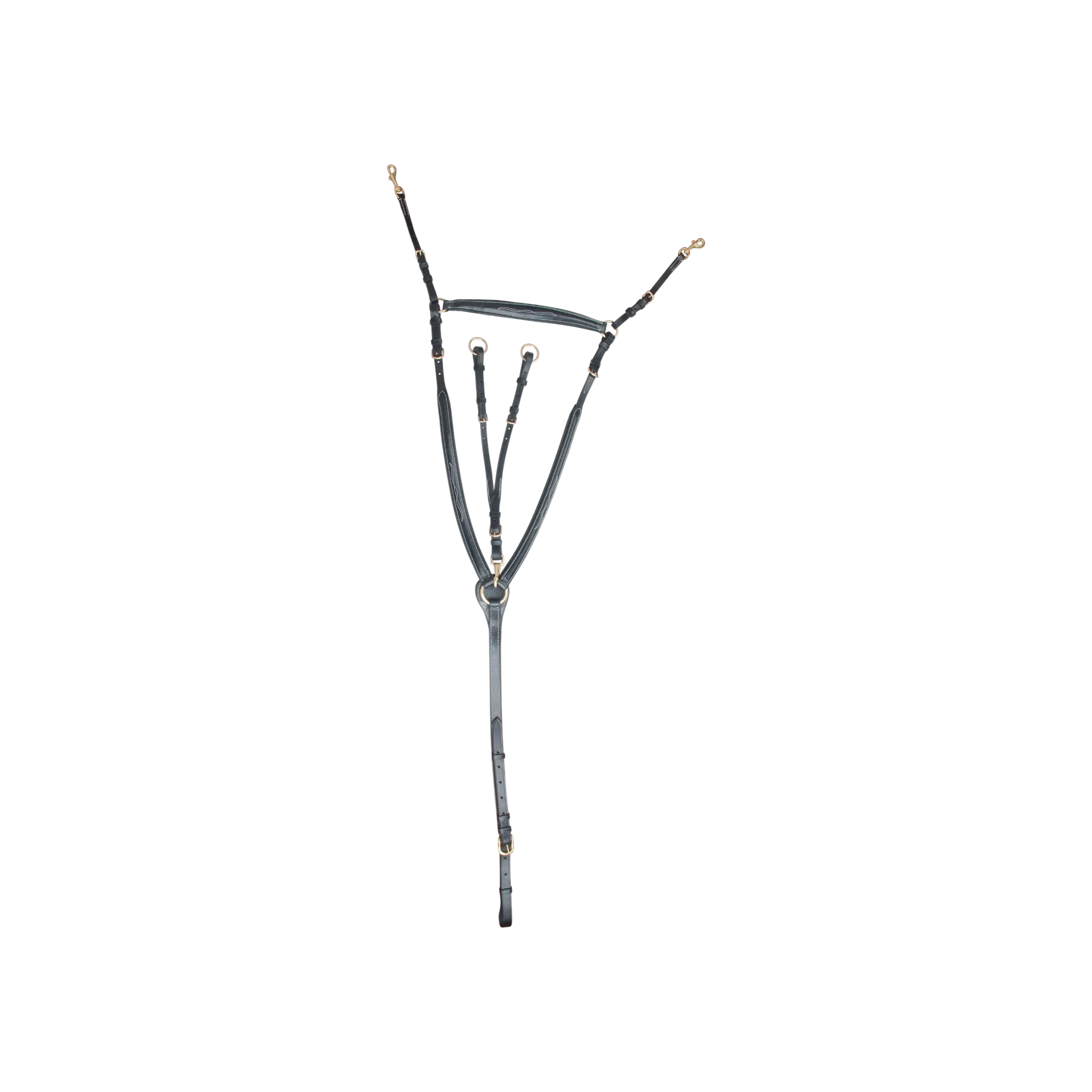 TdeT - Collier de chasse à pont noir