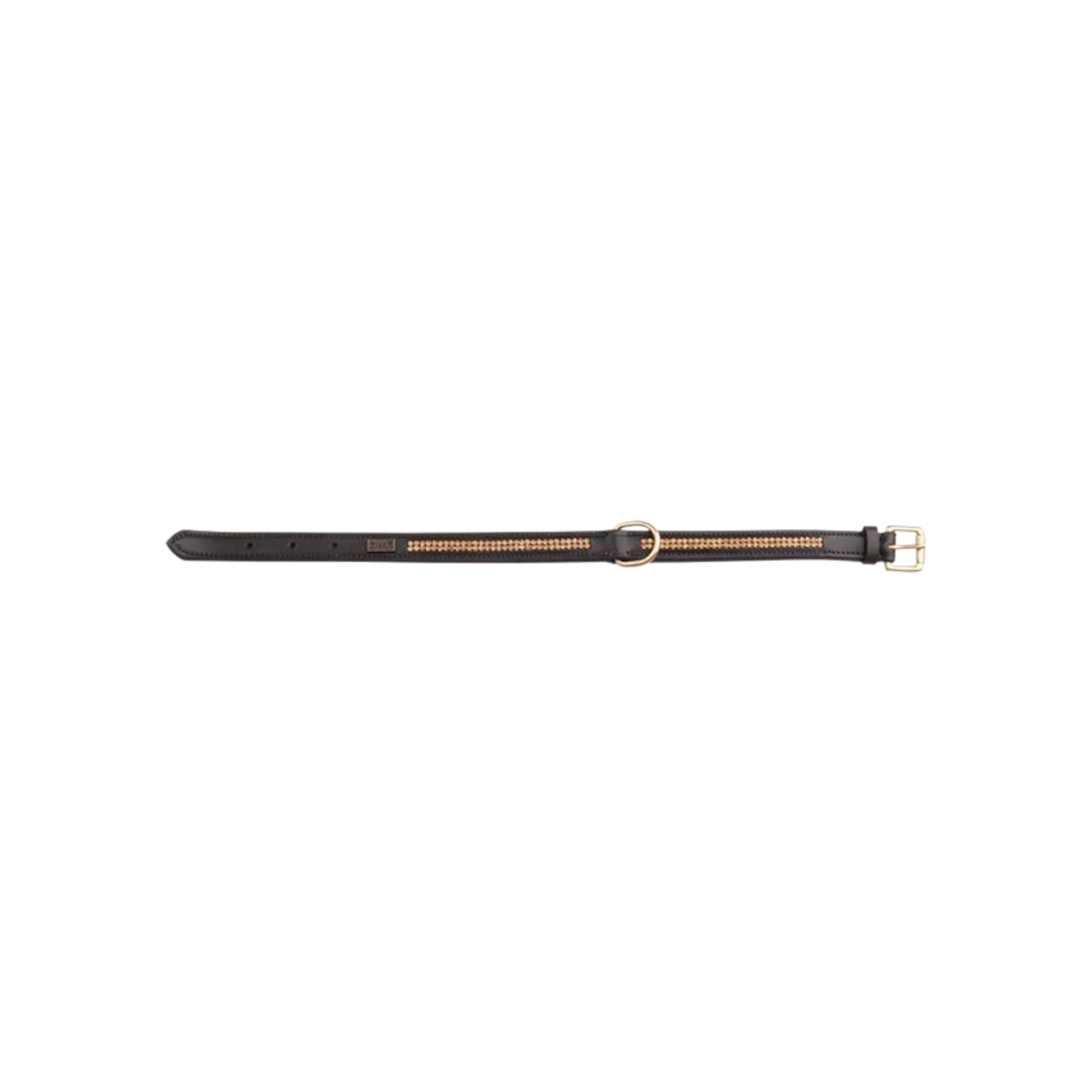 TdeT - Collier pour chien Strass havane