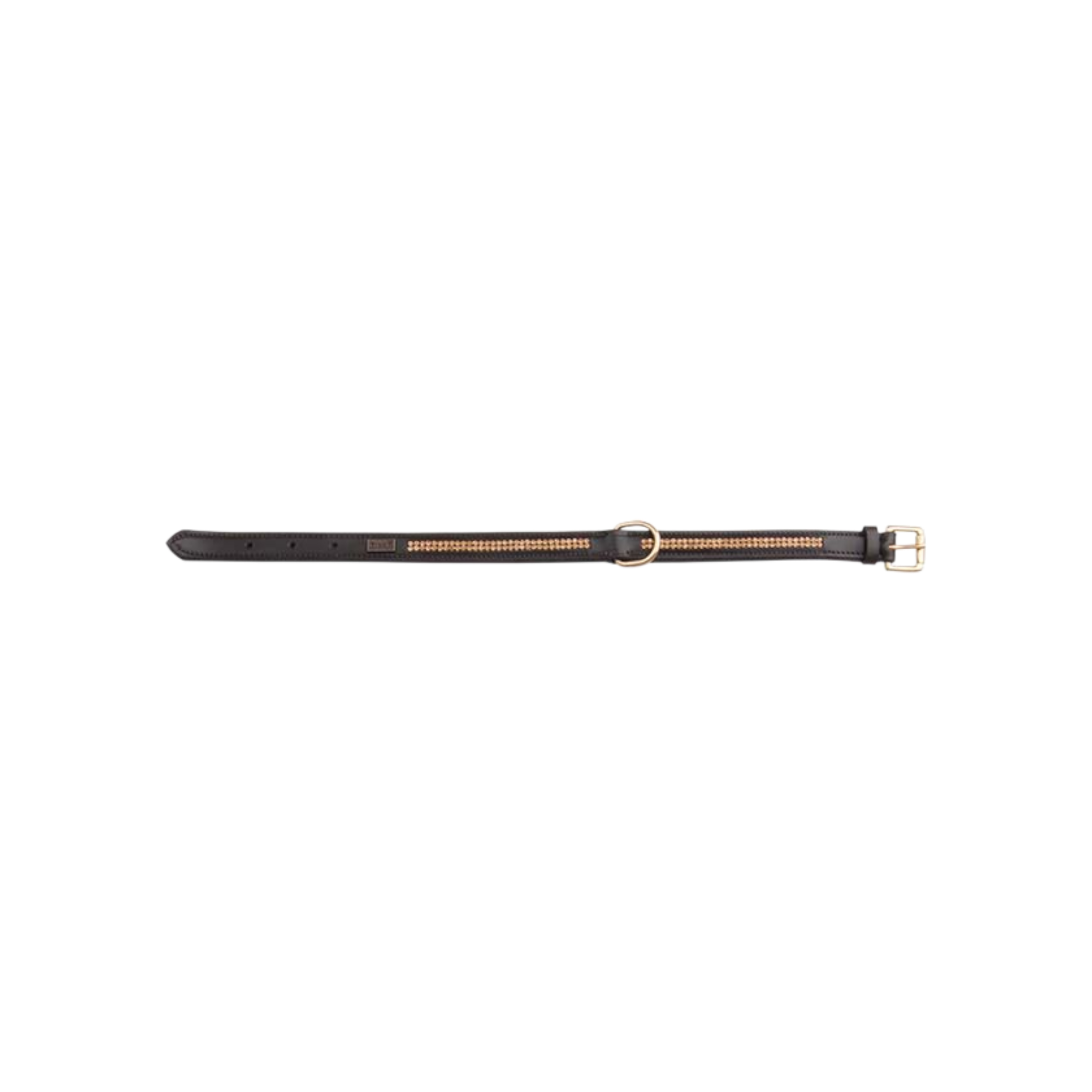 TdeT - Collier pour chien Strass havane