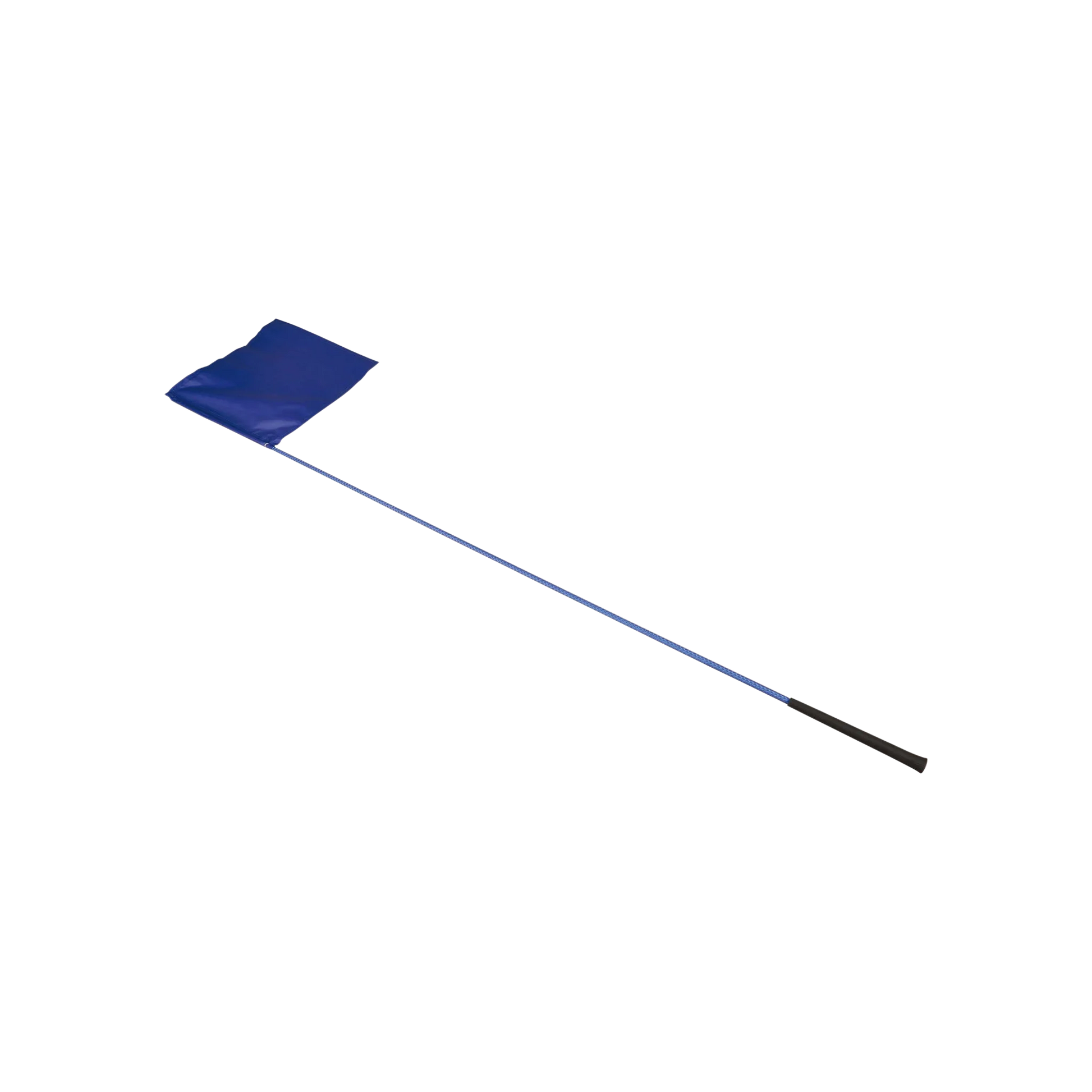 TdeT - Desensitisation flag blue