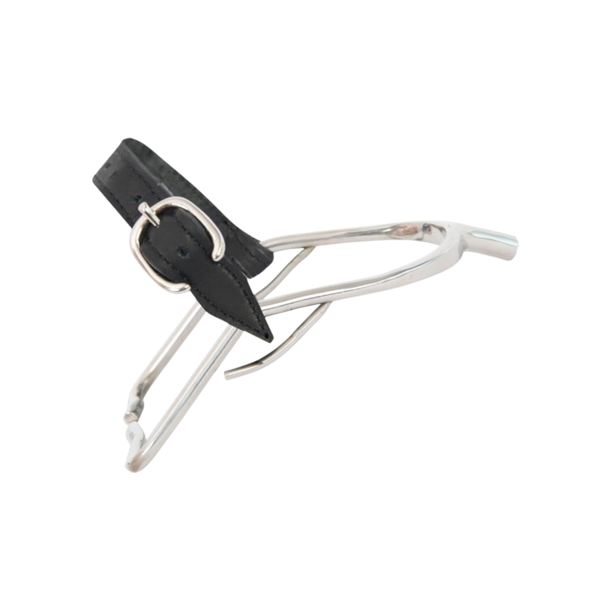 TdeT - Éperons TdeT inox embout Prince de Galles