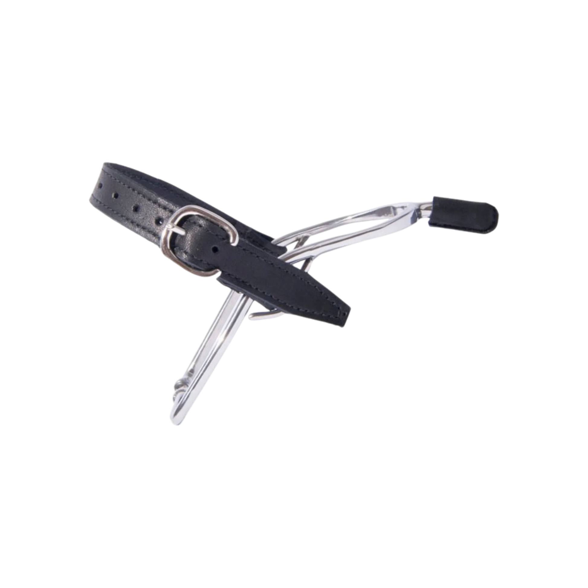 TdeT - TdeT stainless steel spurs leather ends