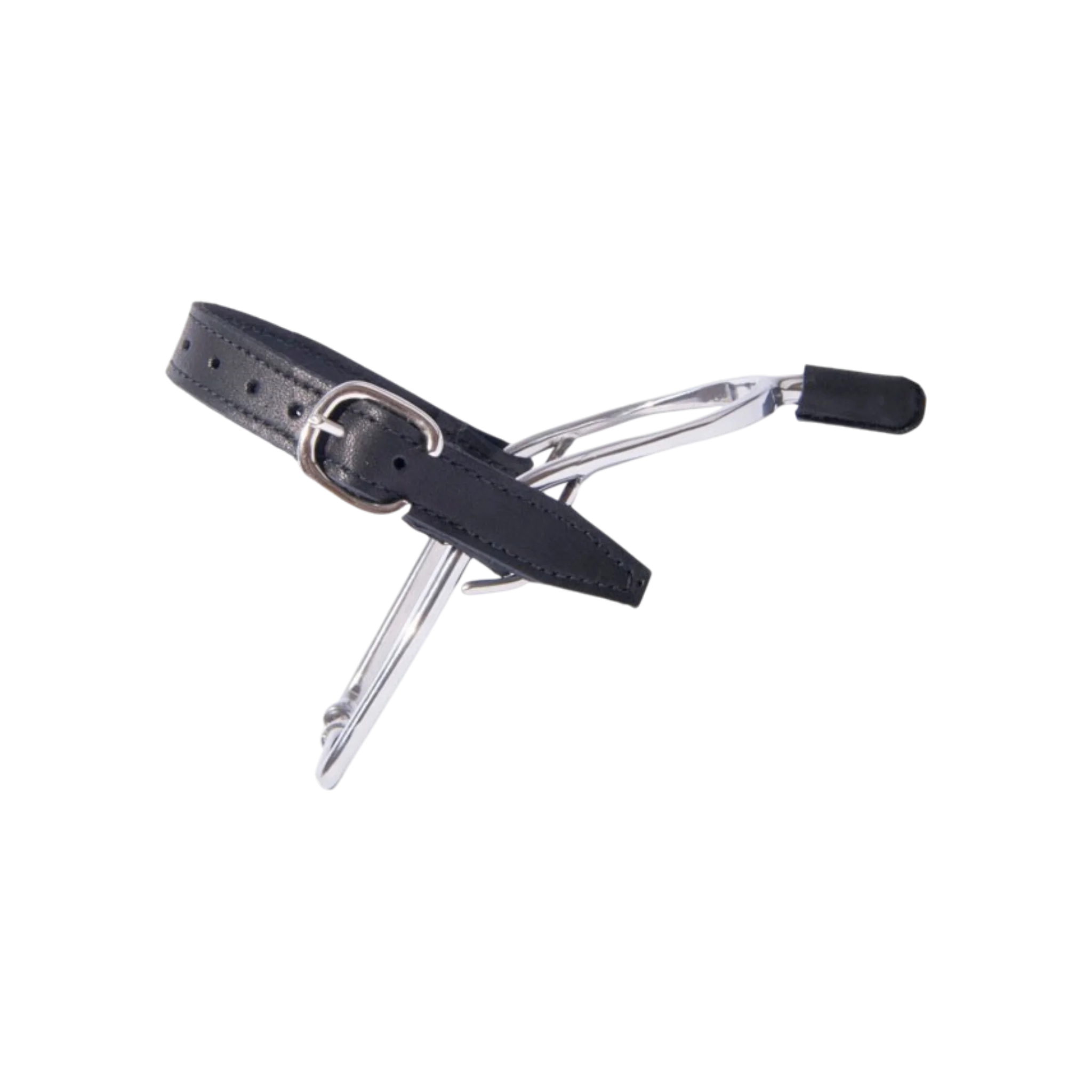 TdeT - TdeT stainless steel spurs leather ends