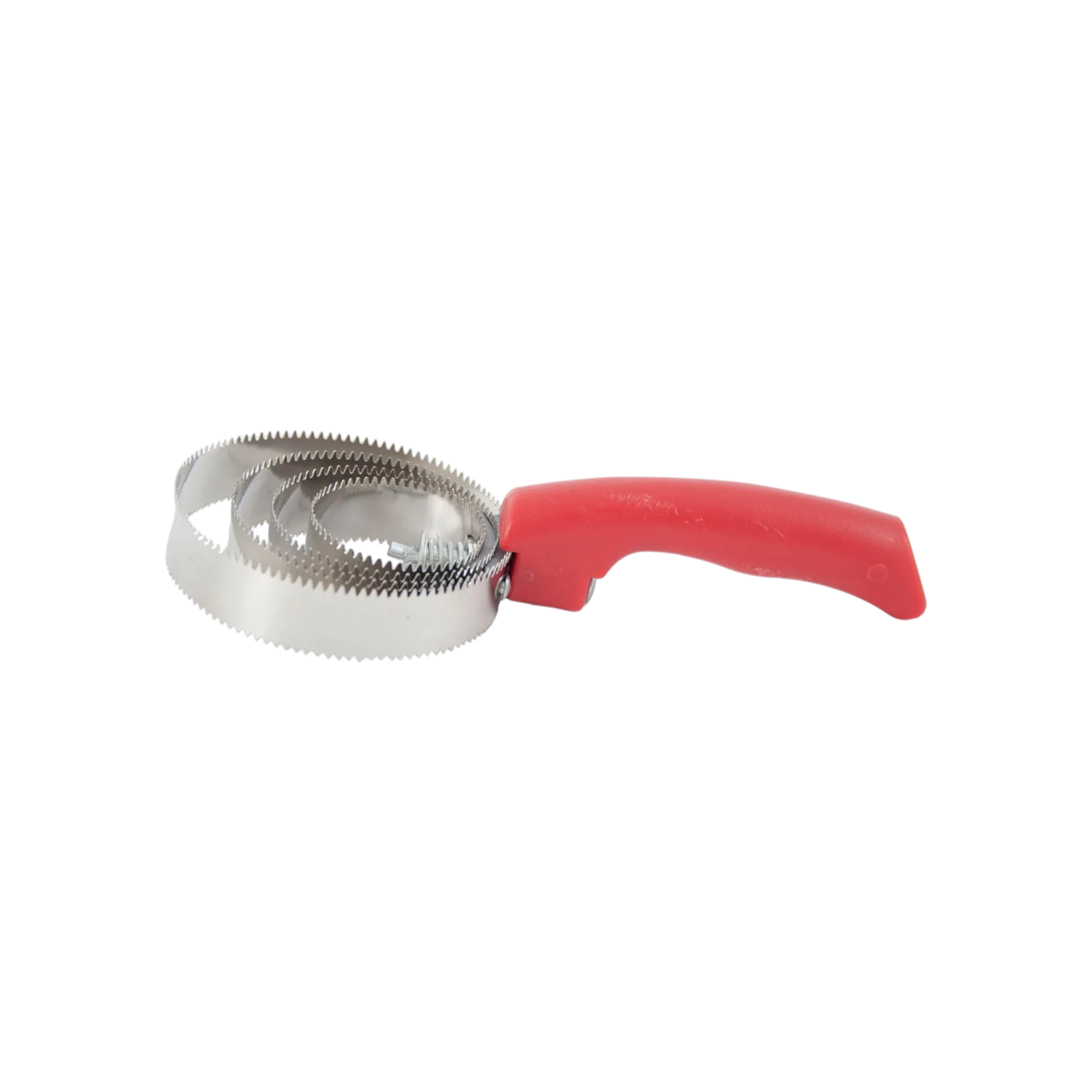 TdeT - Étrille américaine rouge