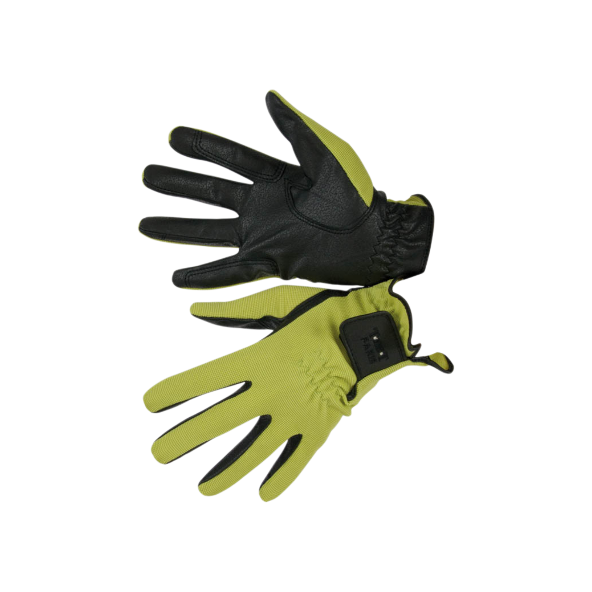 TdeT - Gants d'équitation Club vert