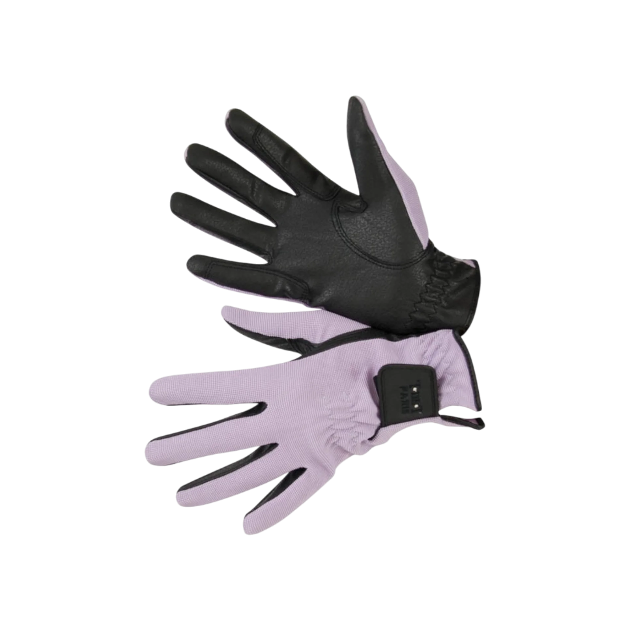 TdeT - Gants d'équitation Club violet