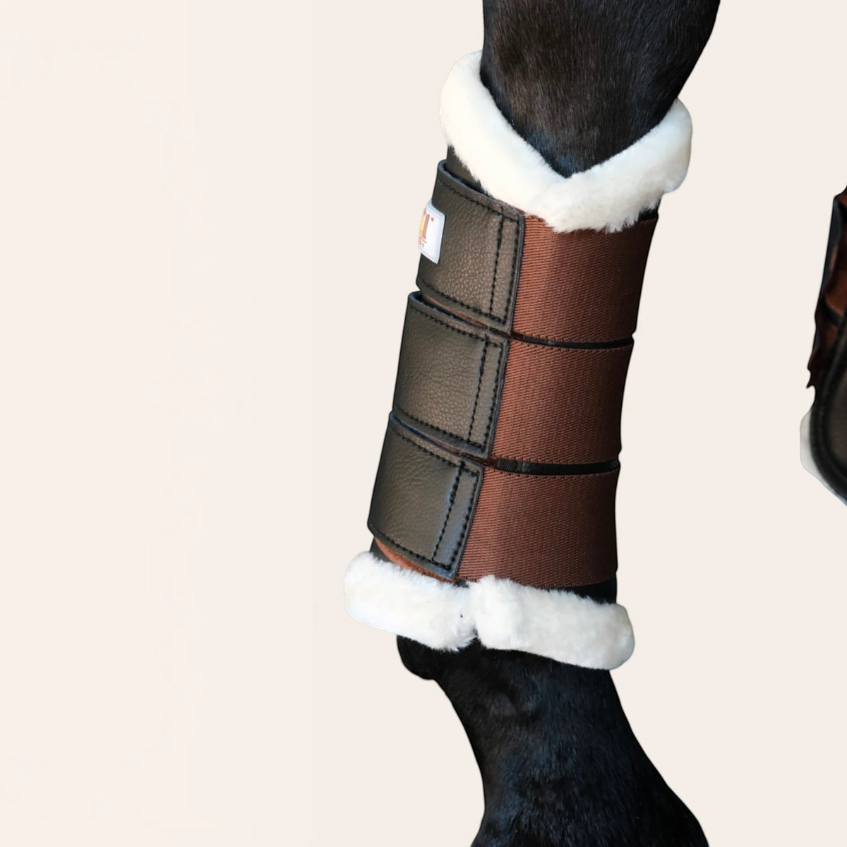 TdeT - Guêtres de dressage antérieurs neoprene et mouton noir marron