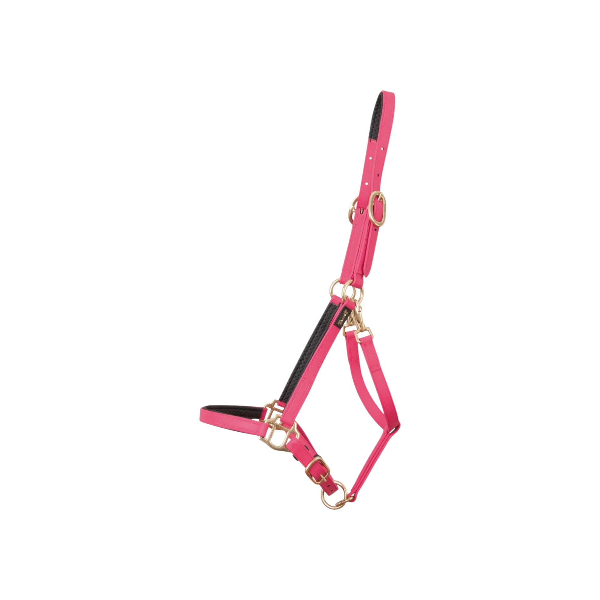 TdeT - Licol Biotack® fuchsia