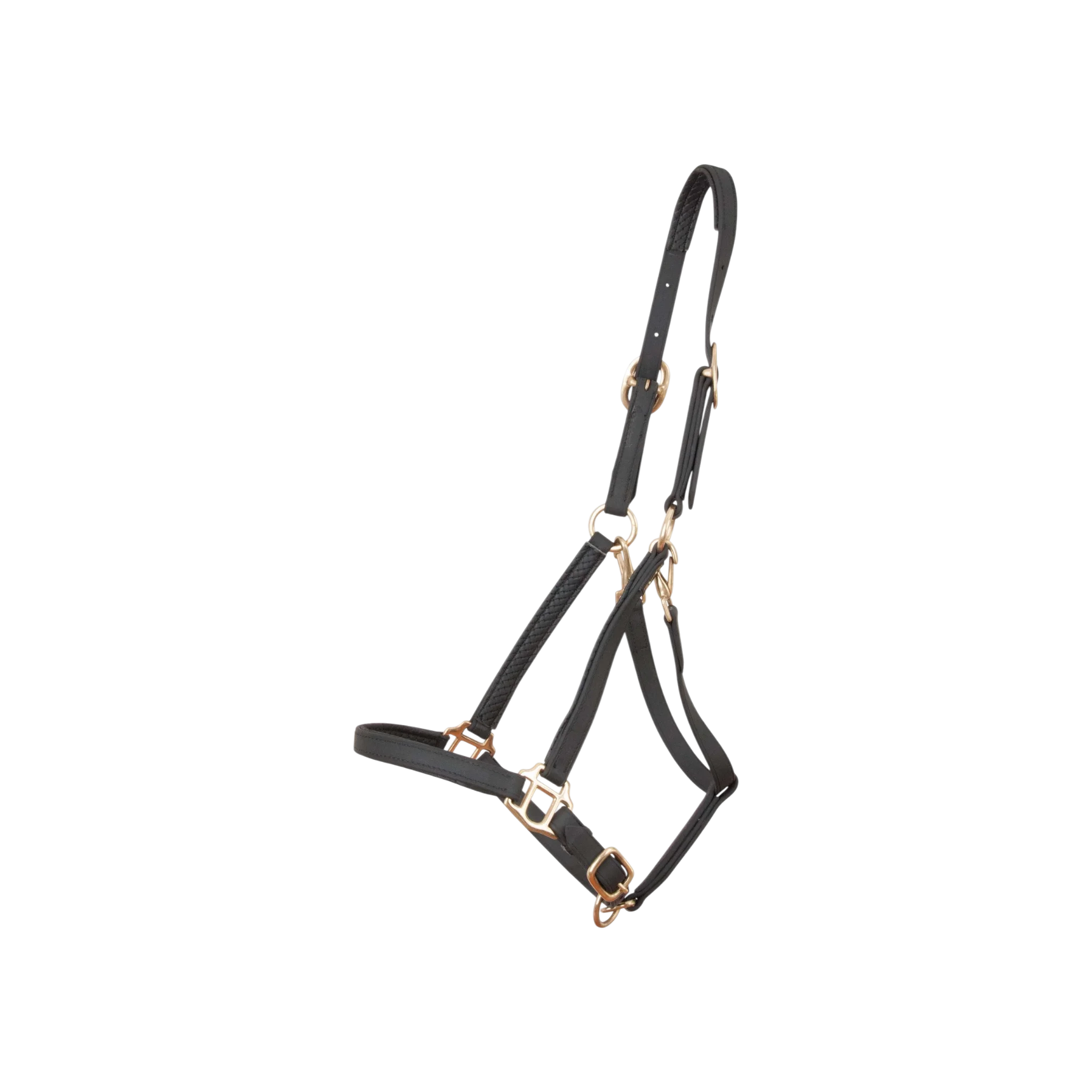 TdeT - Licol Biotack® noir