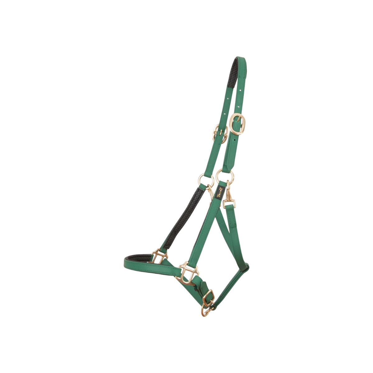 Biotack® halter