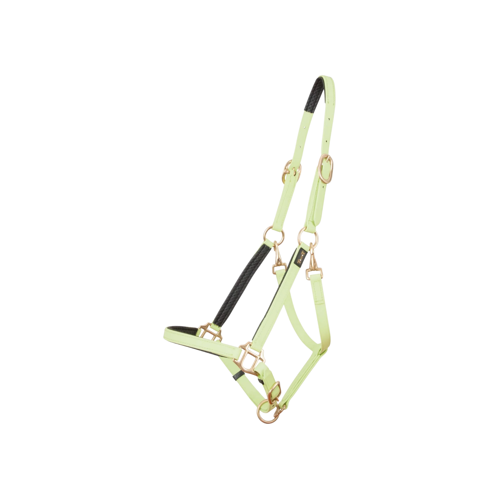 TdeT - Licol Biotack® vert tilleul