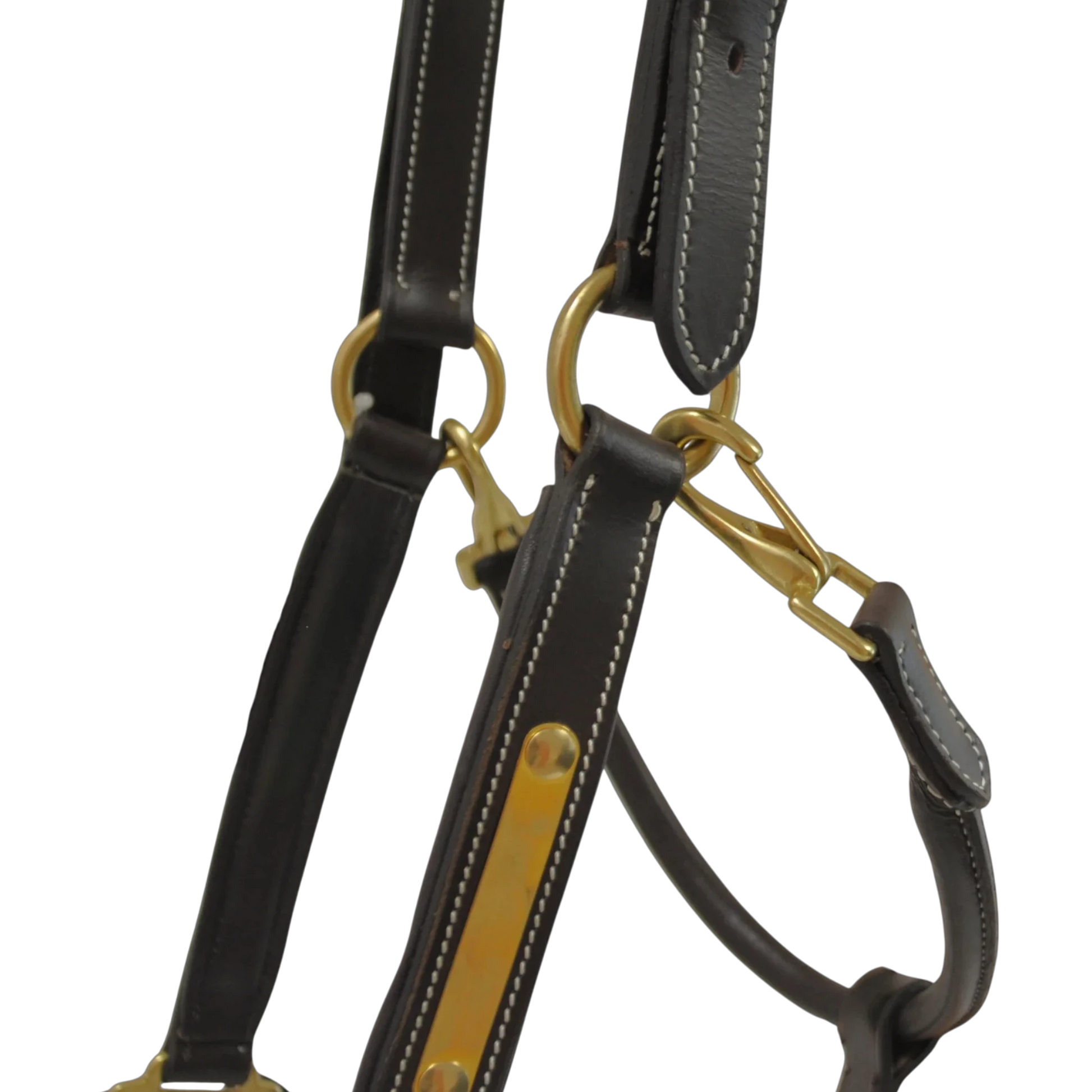 TdeT - Licol cuir classique marron foncé