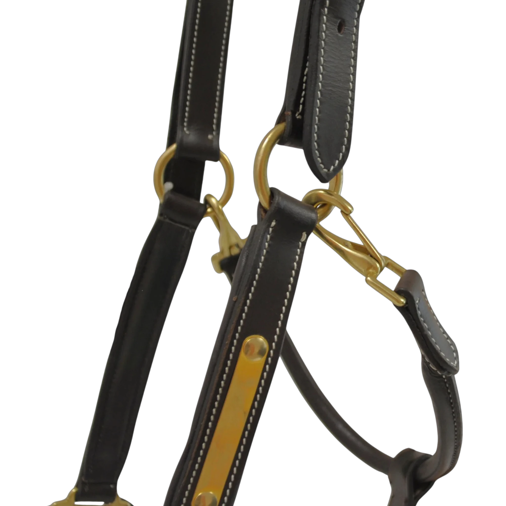 TdeT - Licol cuir classique marron foncé