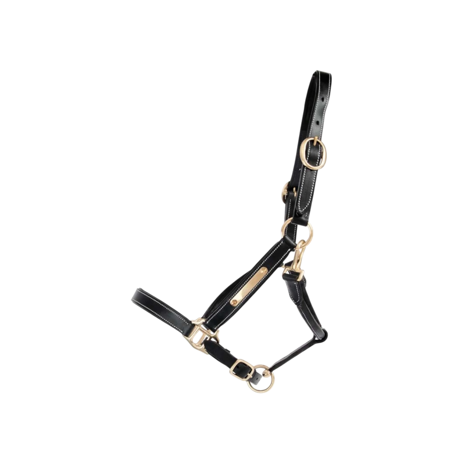 TdeT - Licol cuir classique noir