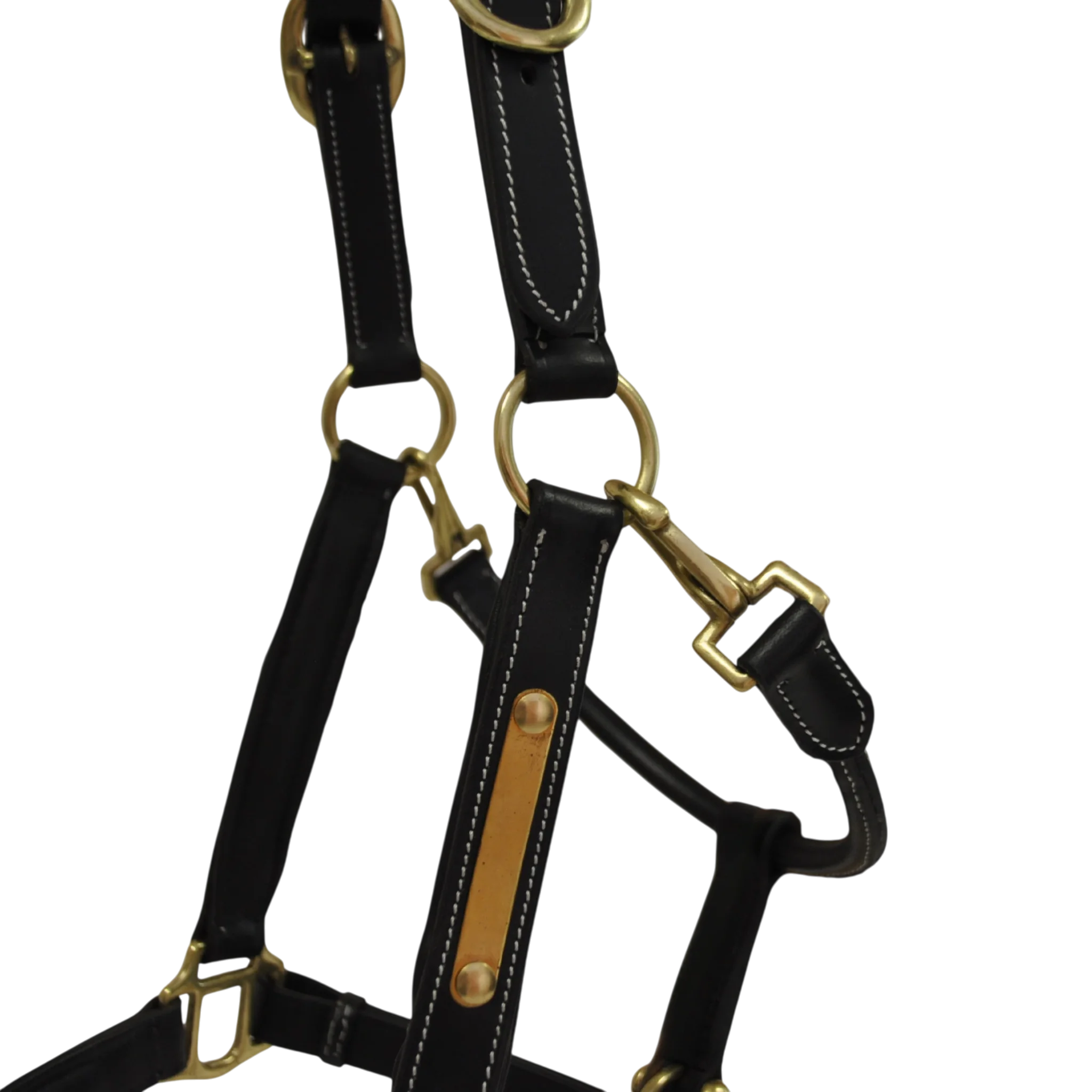 TdeT - Licol cuir classique noir