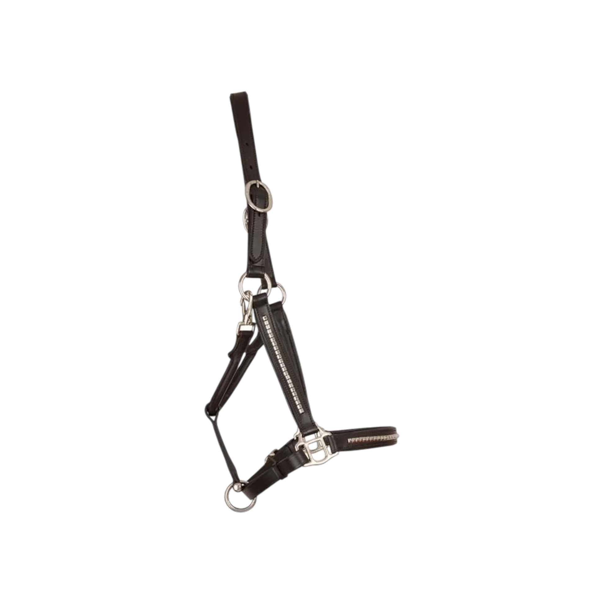 TdeT - Licol cuir clincher havane foncé blanc