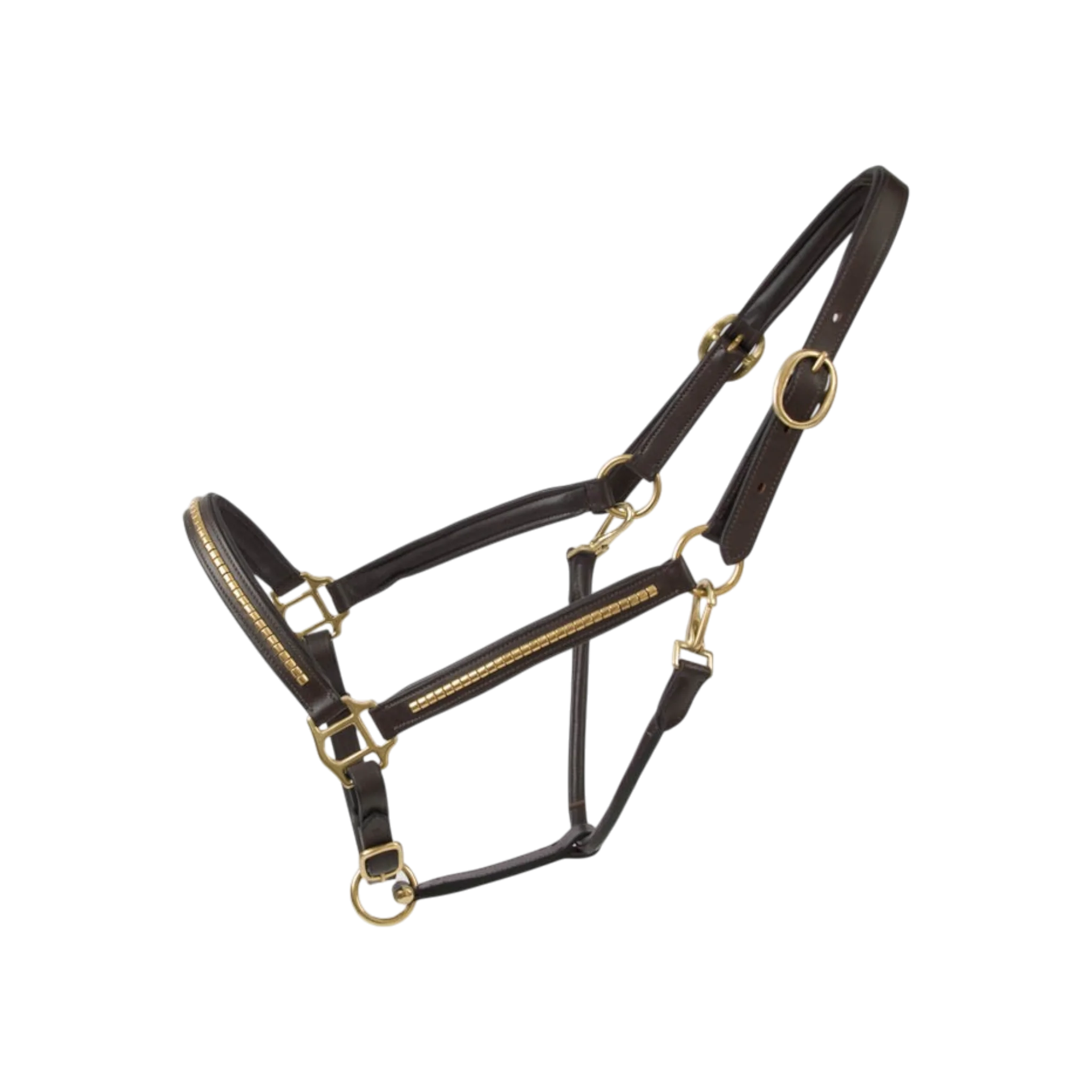 TdeT - Licol cuir clincher havane foncé jaune