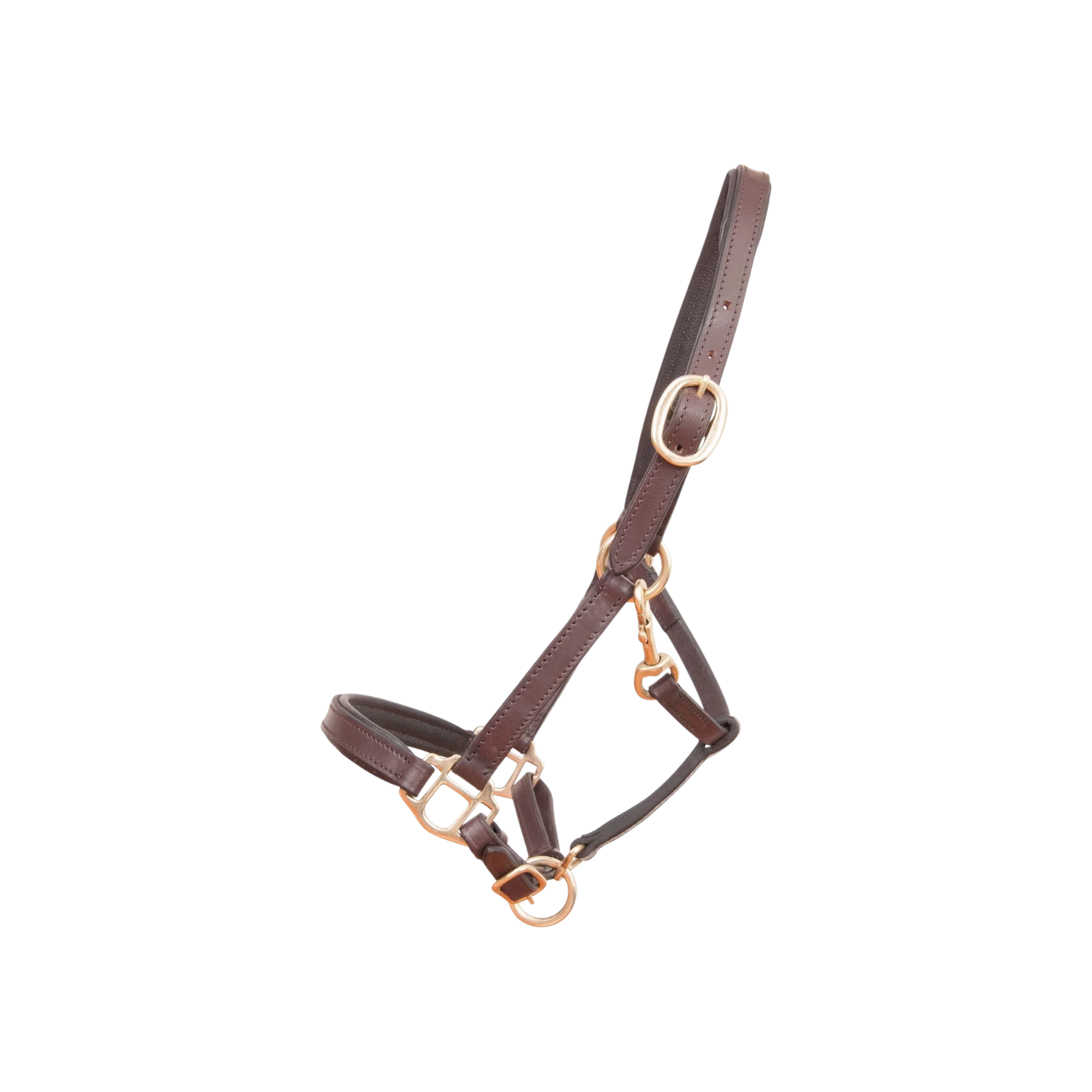 TdeT - Licol cuir poulain marron foncé