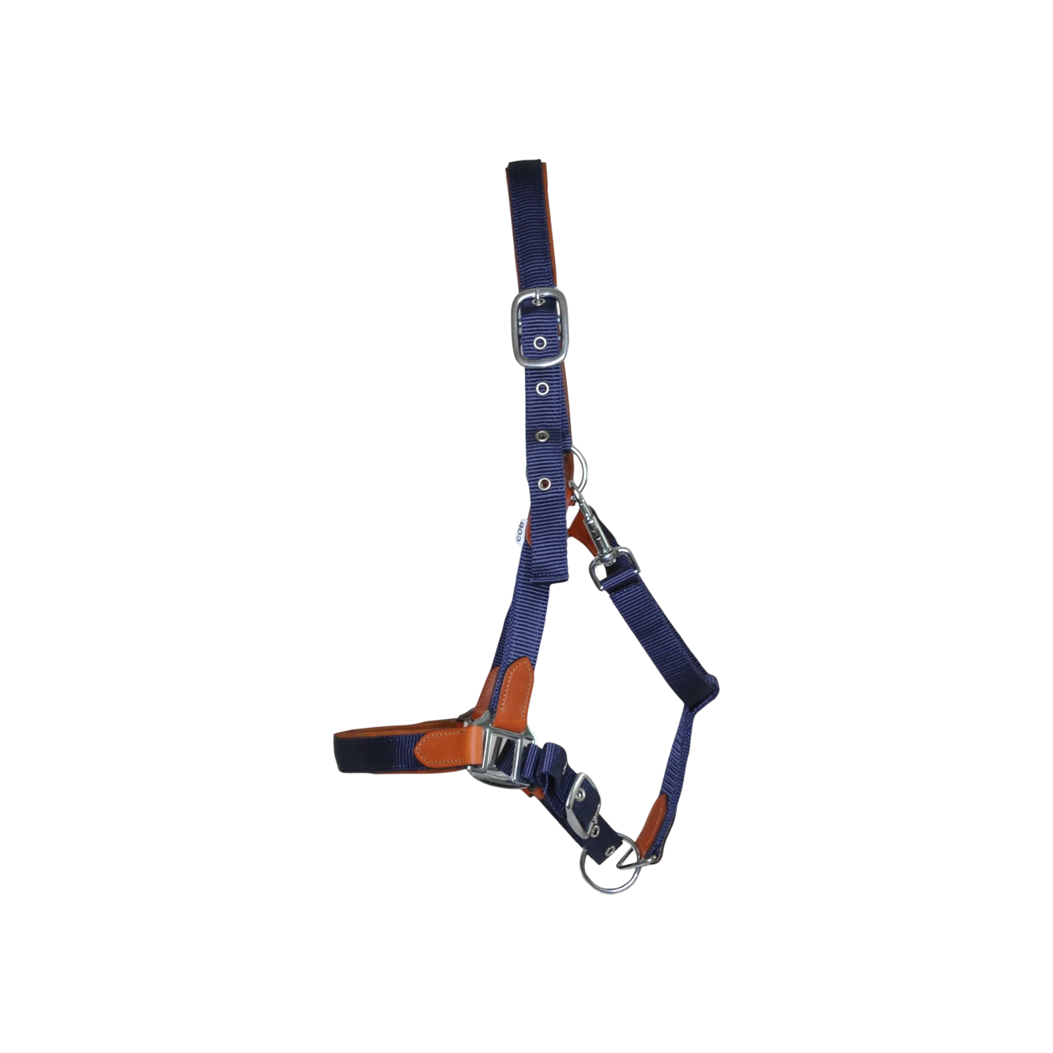 TdeT - Licol cuir et sangle marine