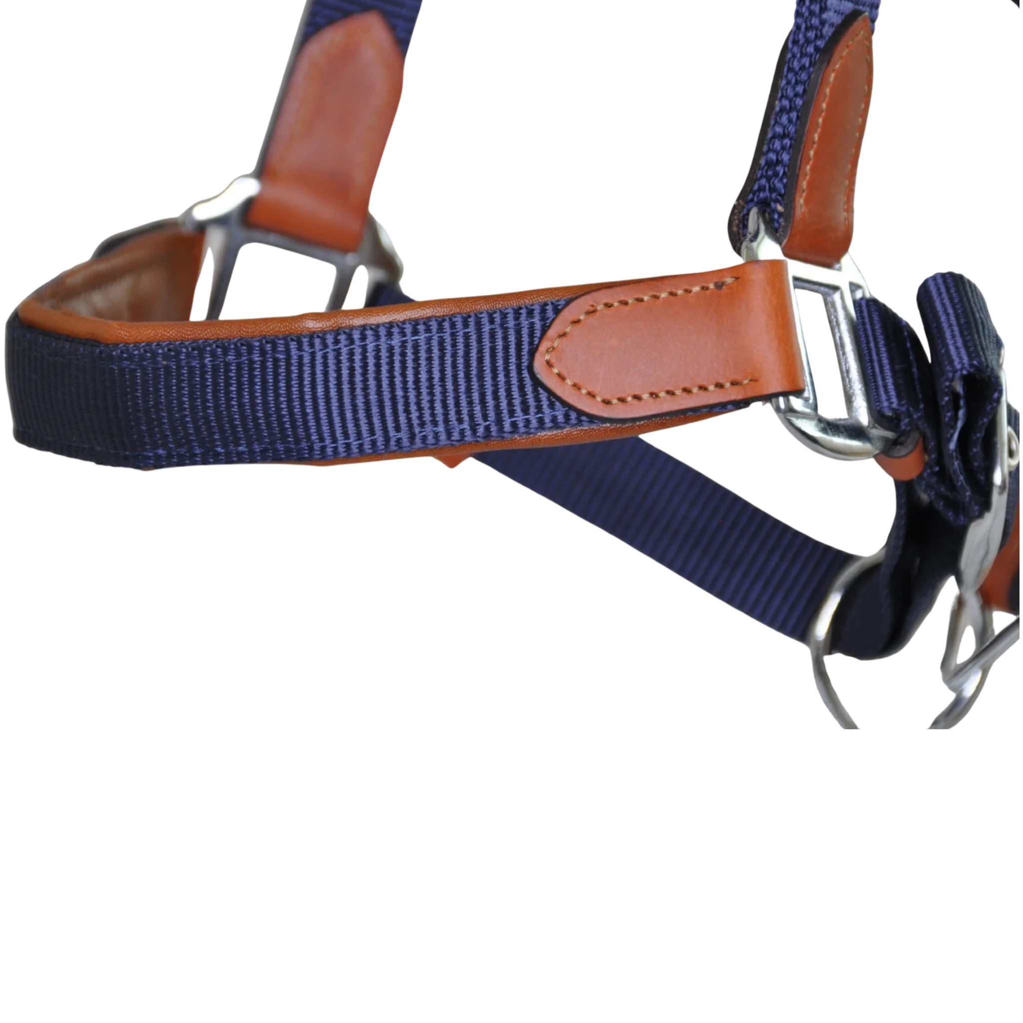 TdeT - Licol cuir et sangle marine