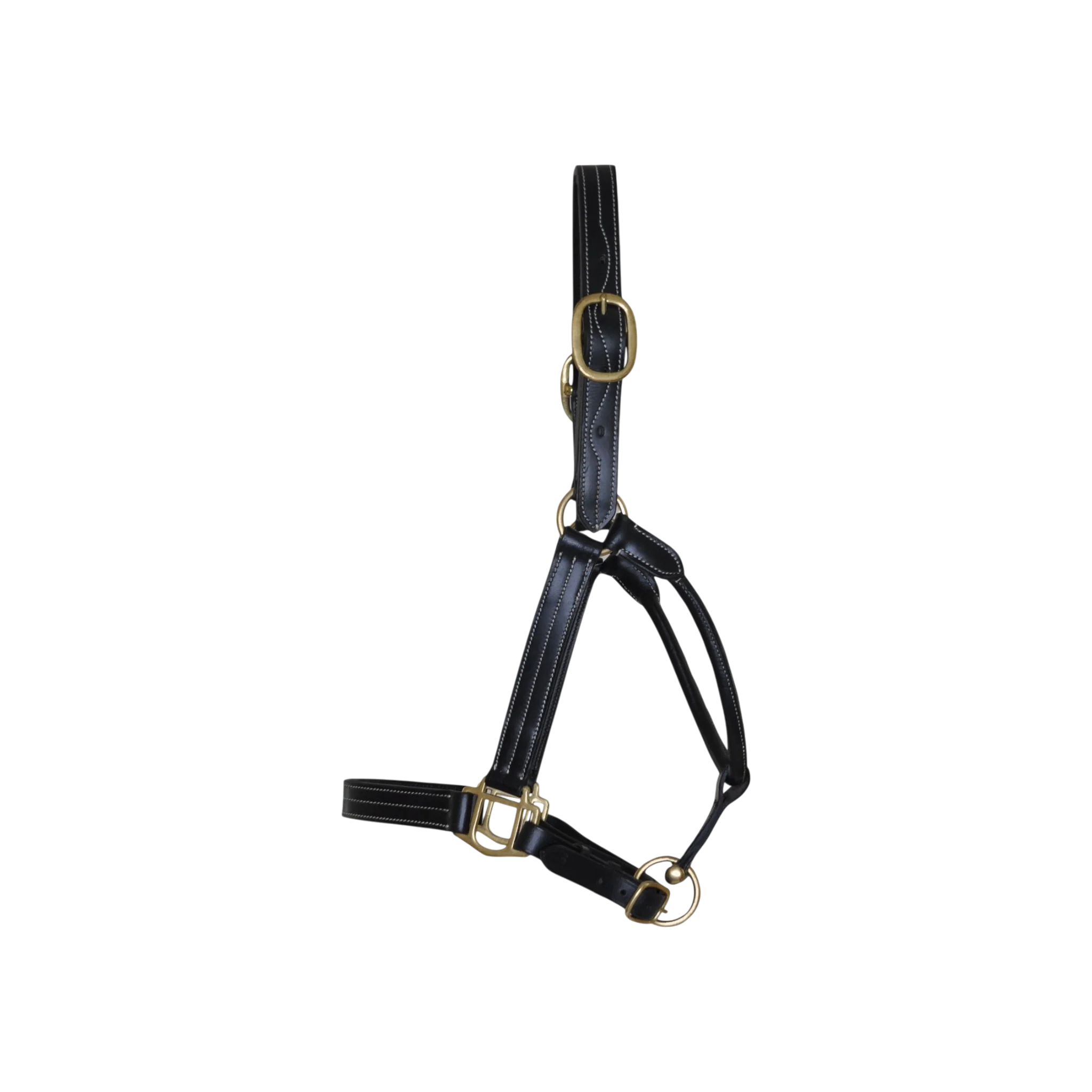 TdeT - Licol cuir triple stitched marron foncé