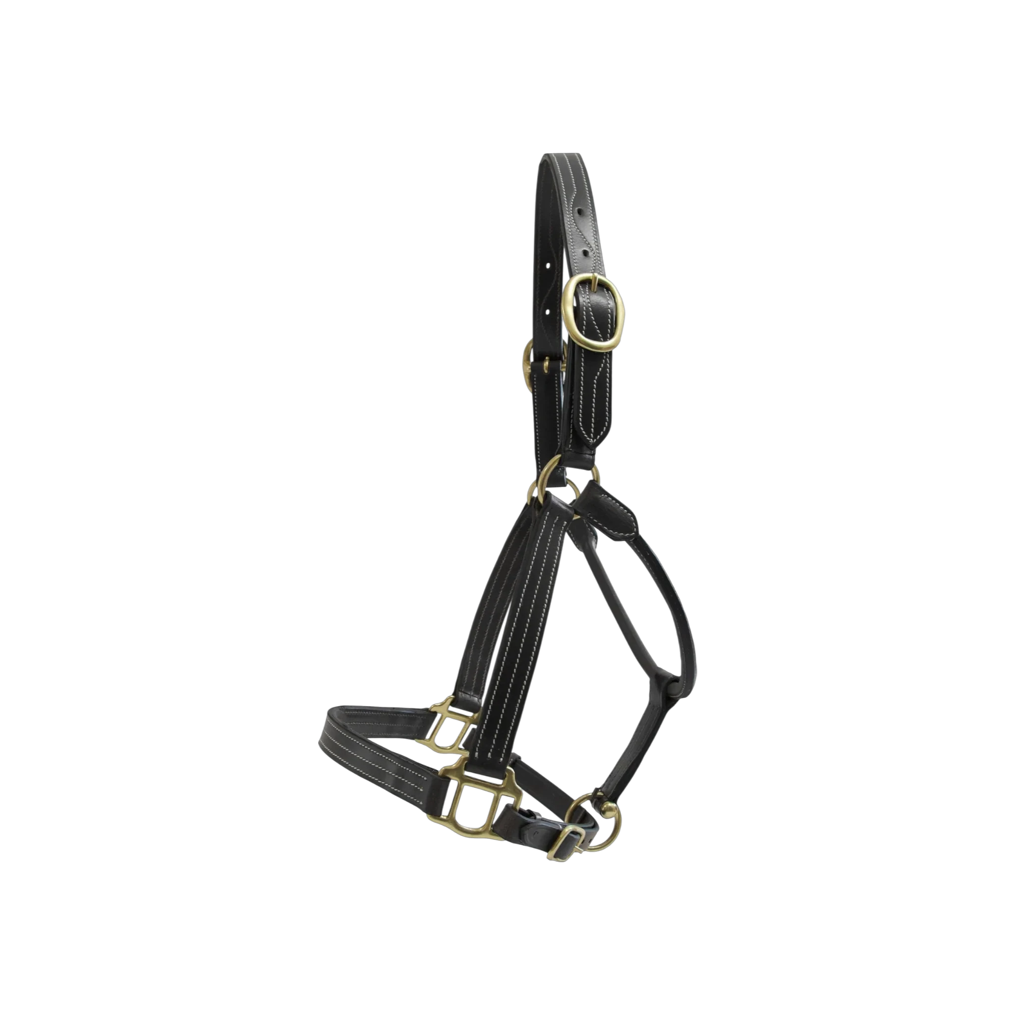 TdeT - Licol cuir triple stitched noir
