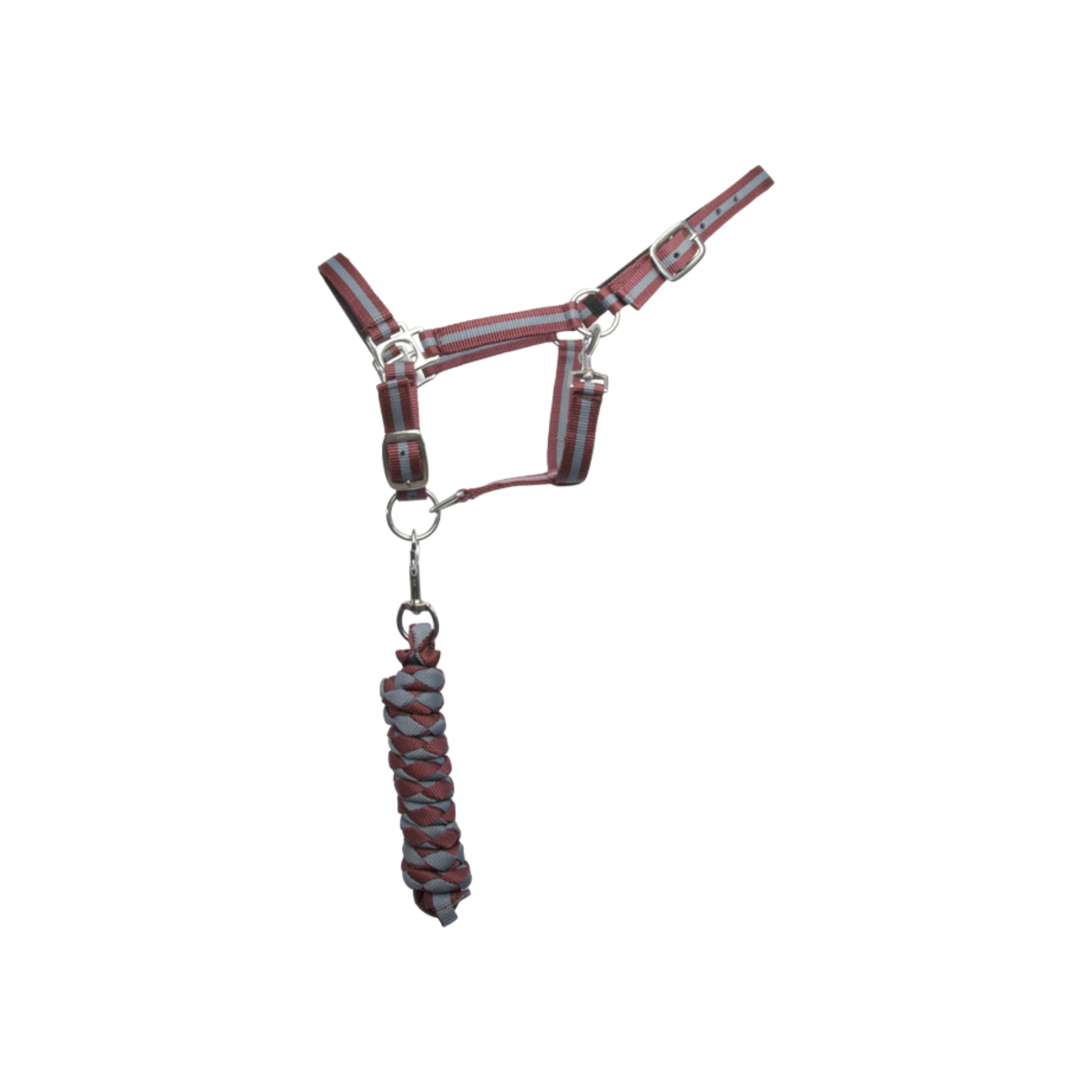 TdeT - Synthetic suede-lined halter with American lead rope burgundy/grey