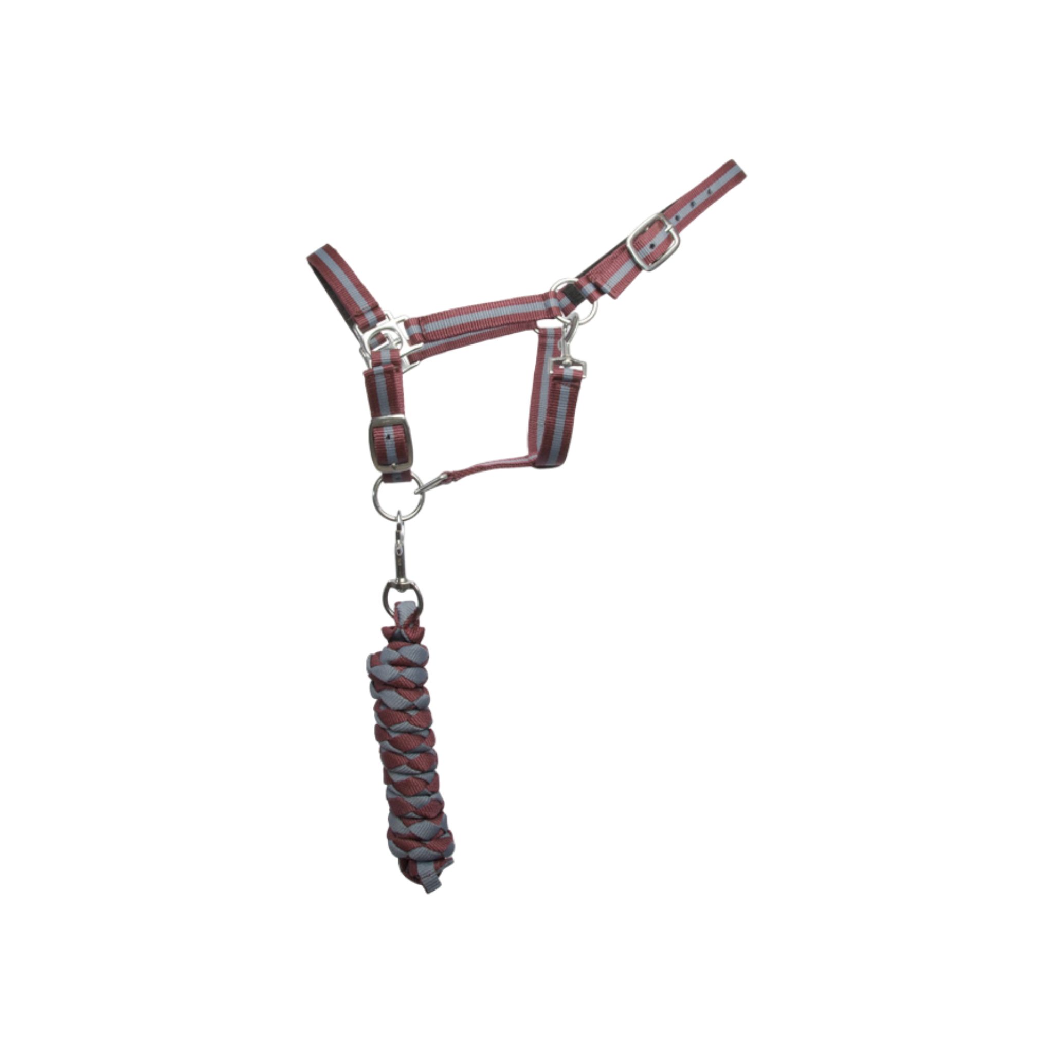 TdeT - Licol synthétique doublé suédine et longe américaine bordeaux/ gris
