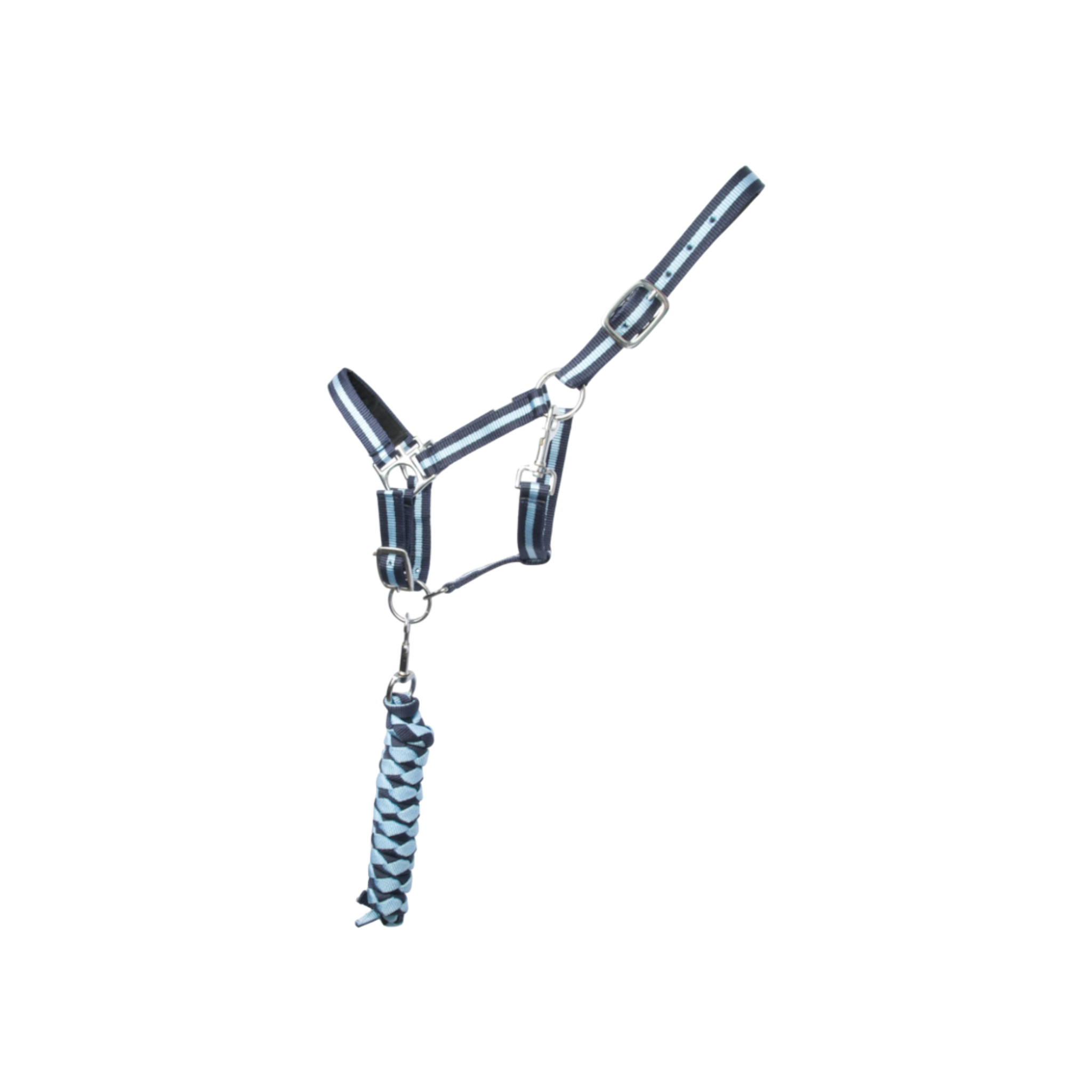 TdeT - Synthetic suede-lined halter with American lead rope navy/sky blue